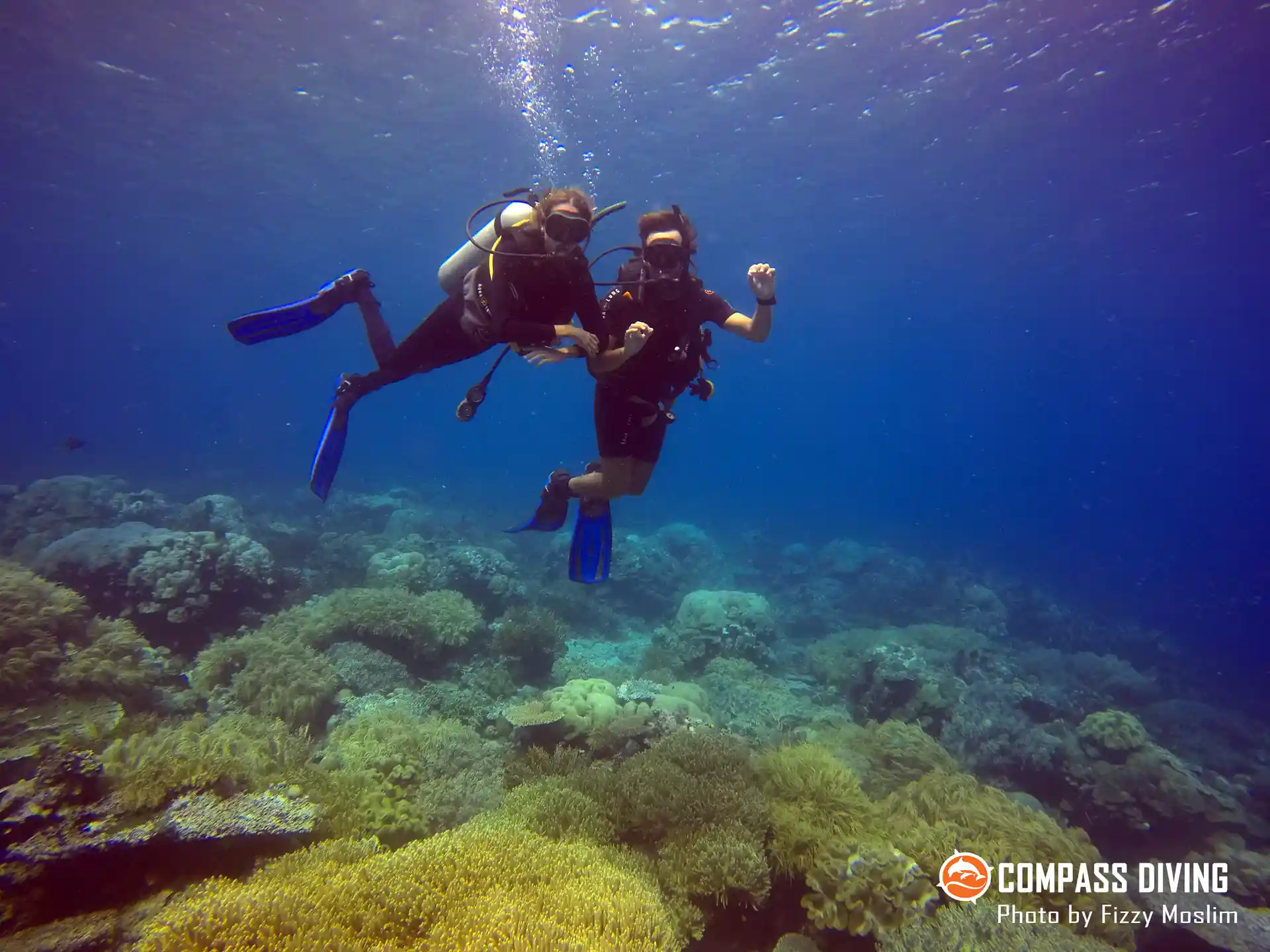 Photo de l'activité