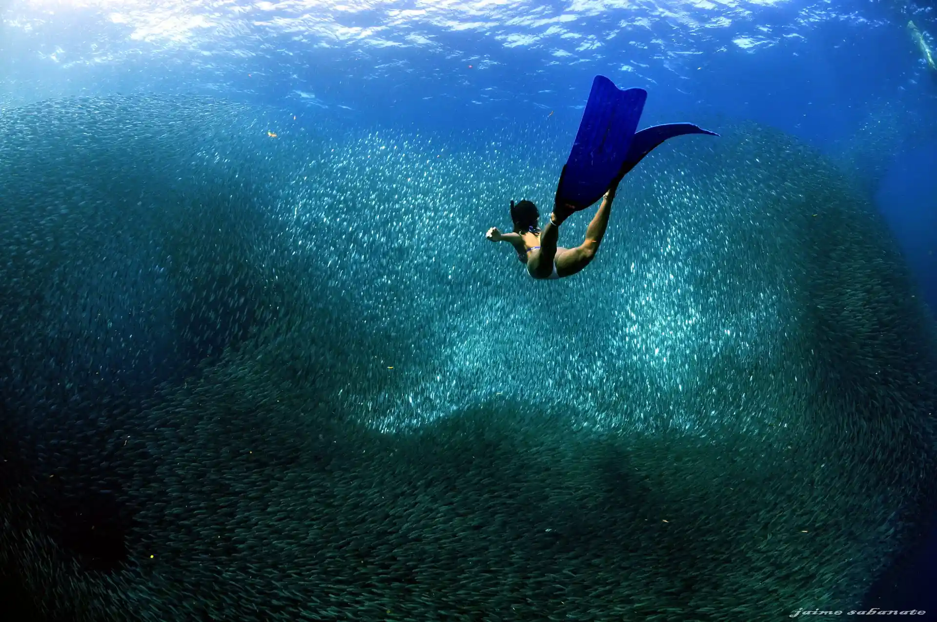 Dive site photo