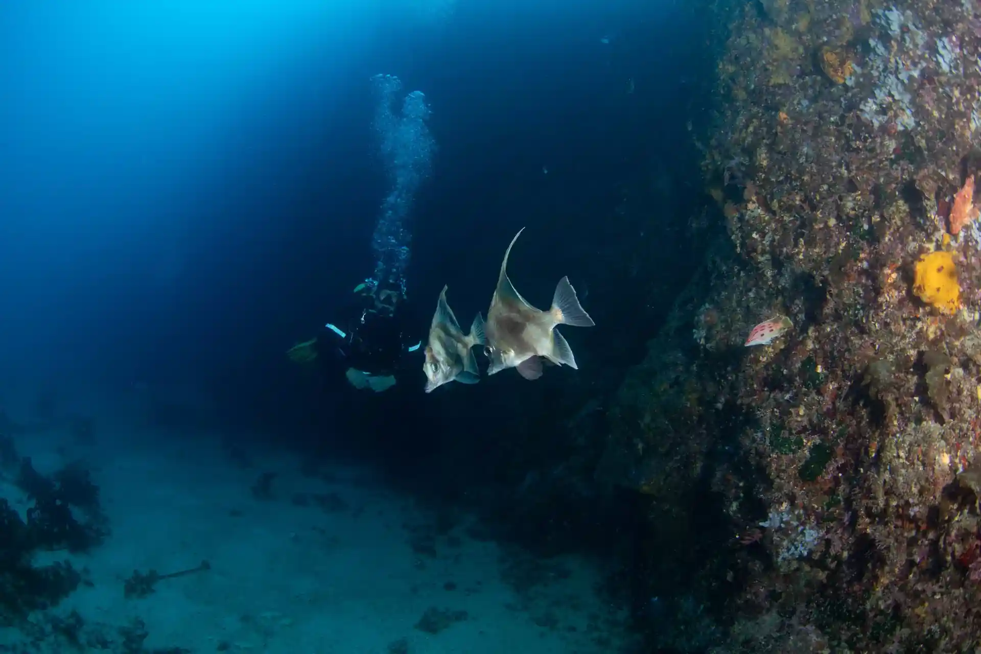 Dive site photo