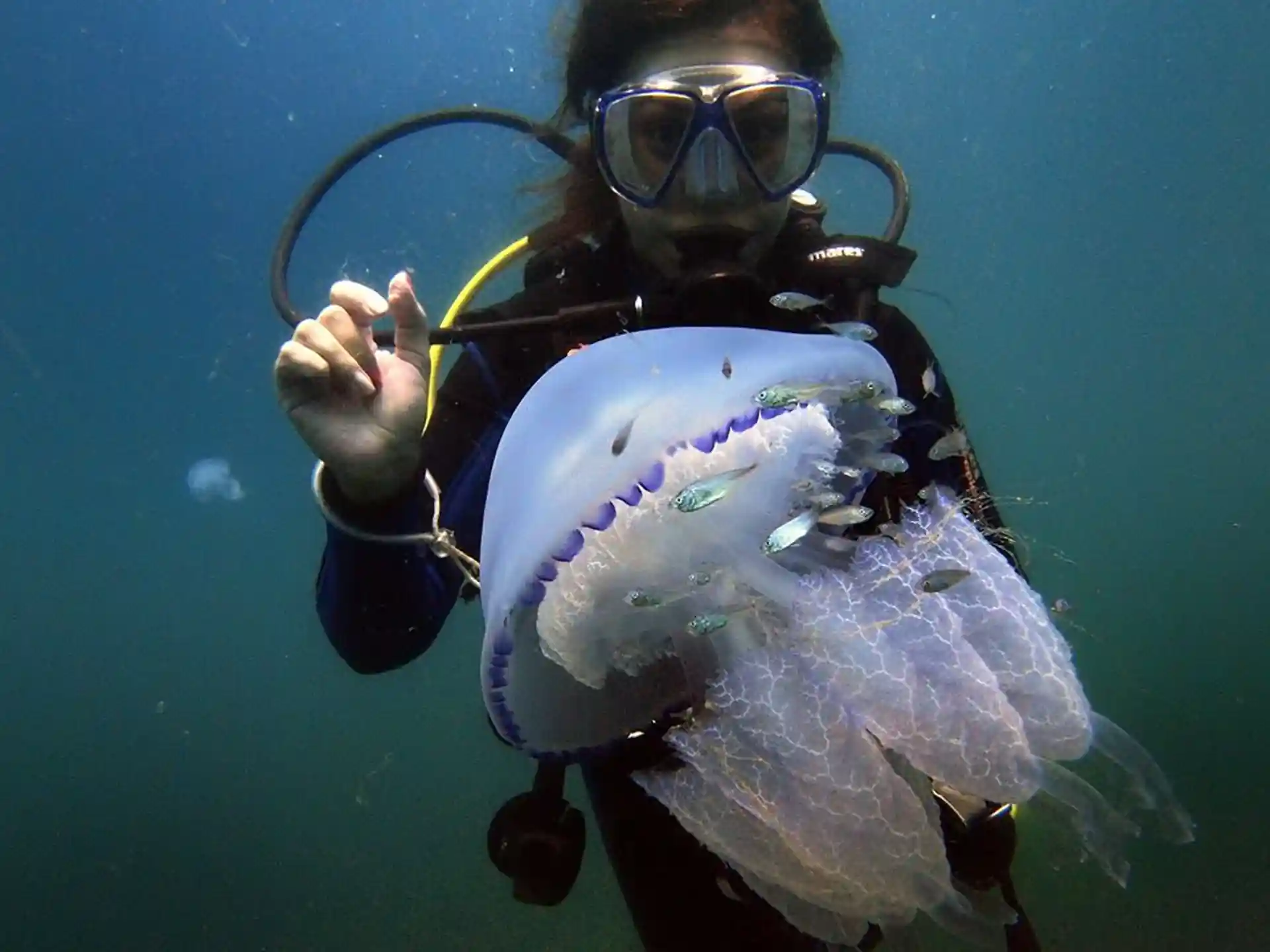 Photo du site de plongée