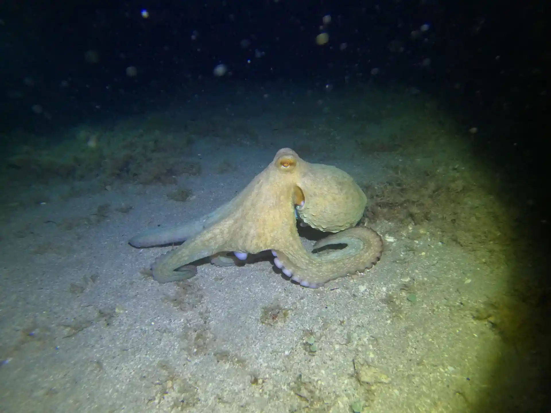 Foto des Tauchplatzes