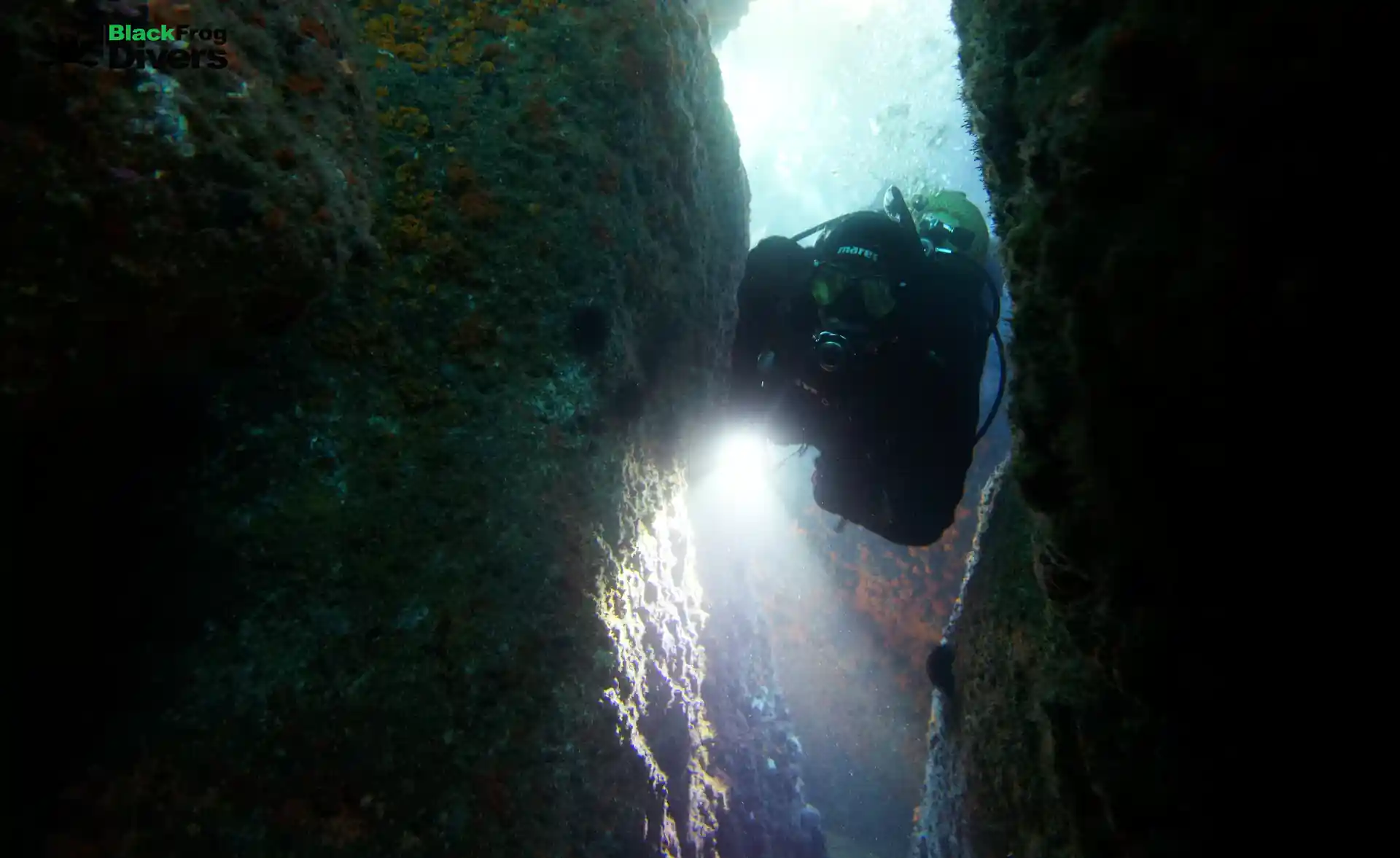 diver