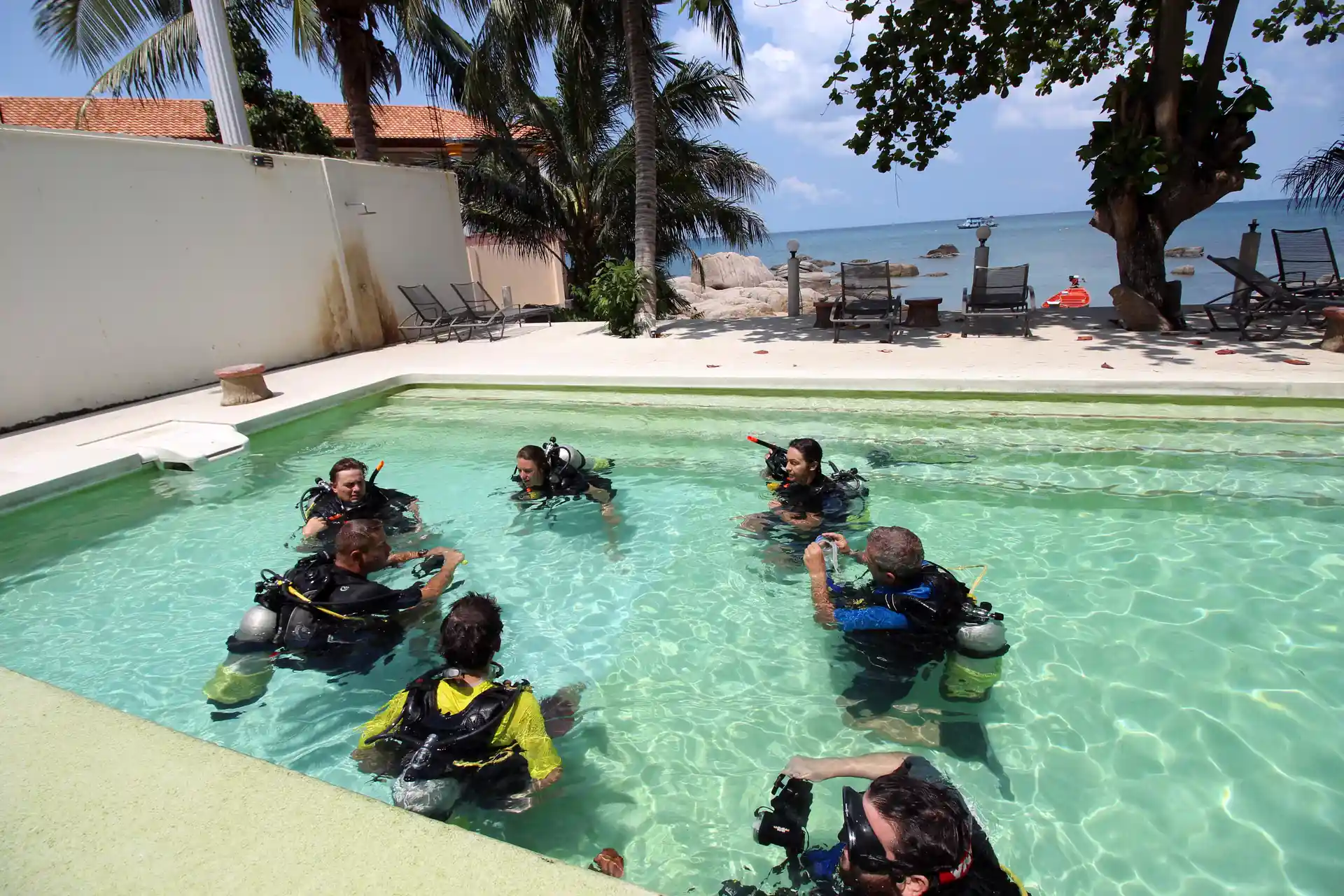 Activity photo