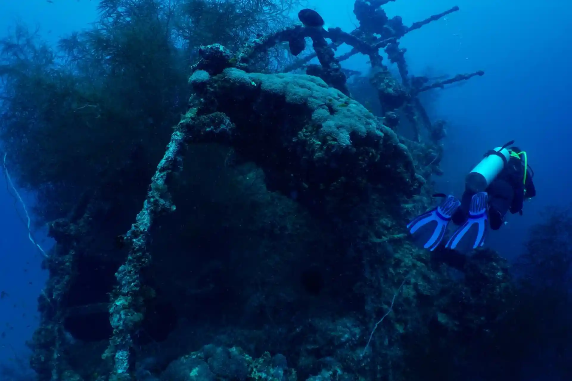 Dive site photo