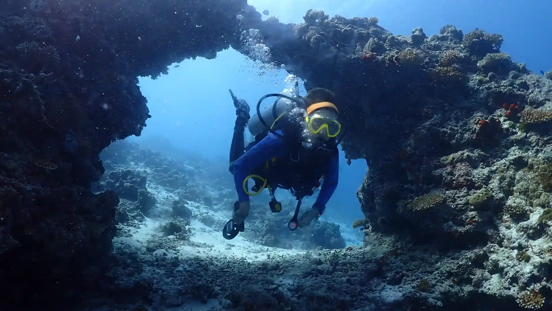 Foto de la actividad