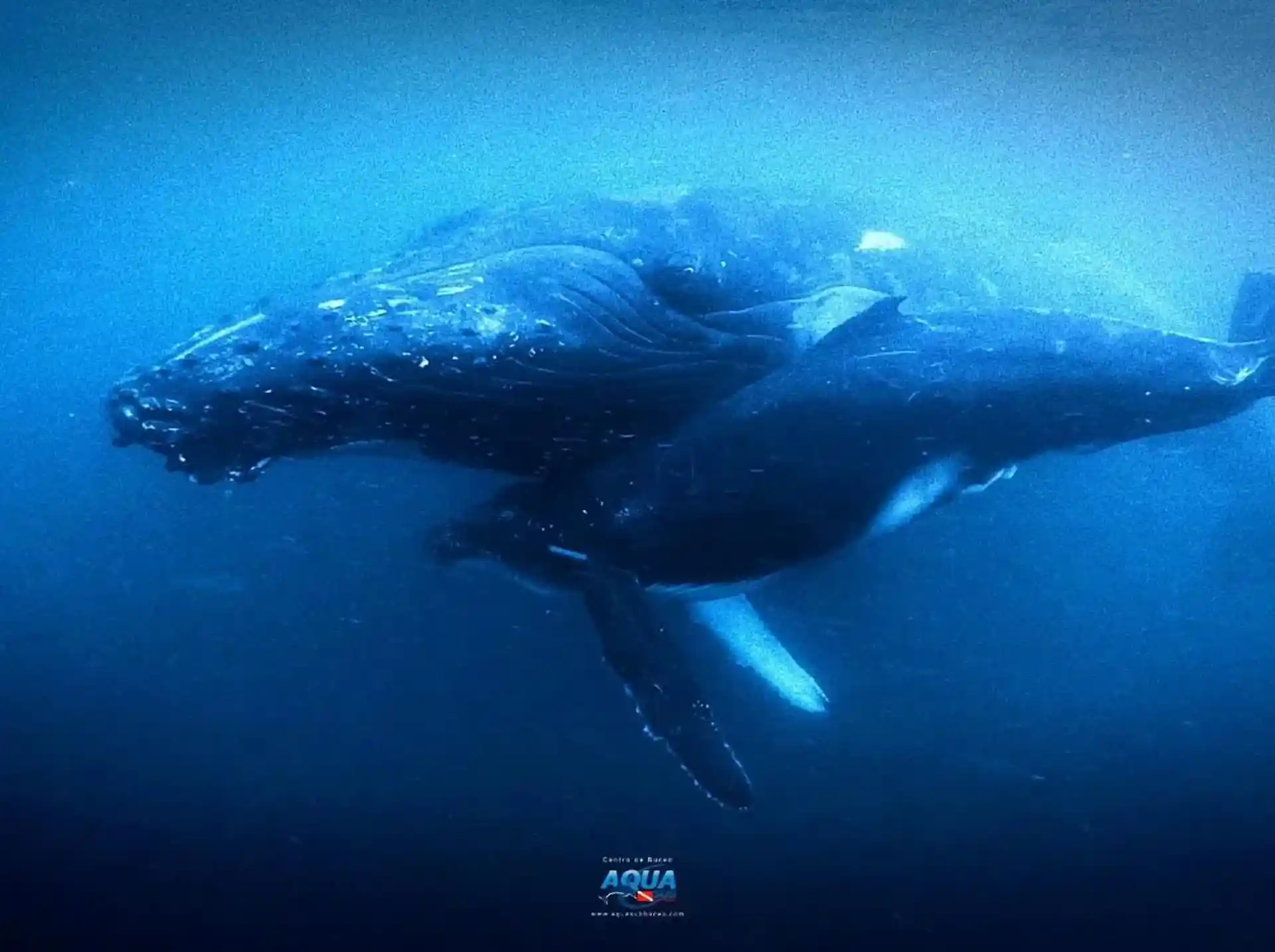 Foto de la actividad