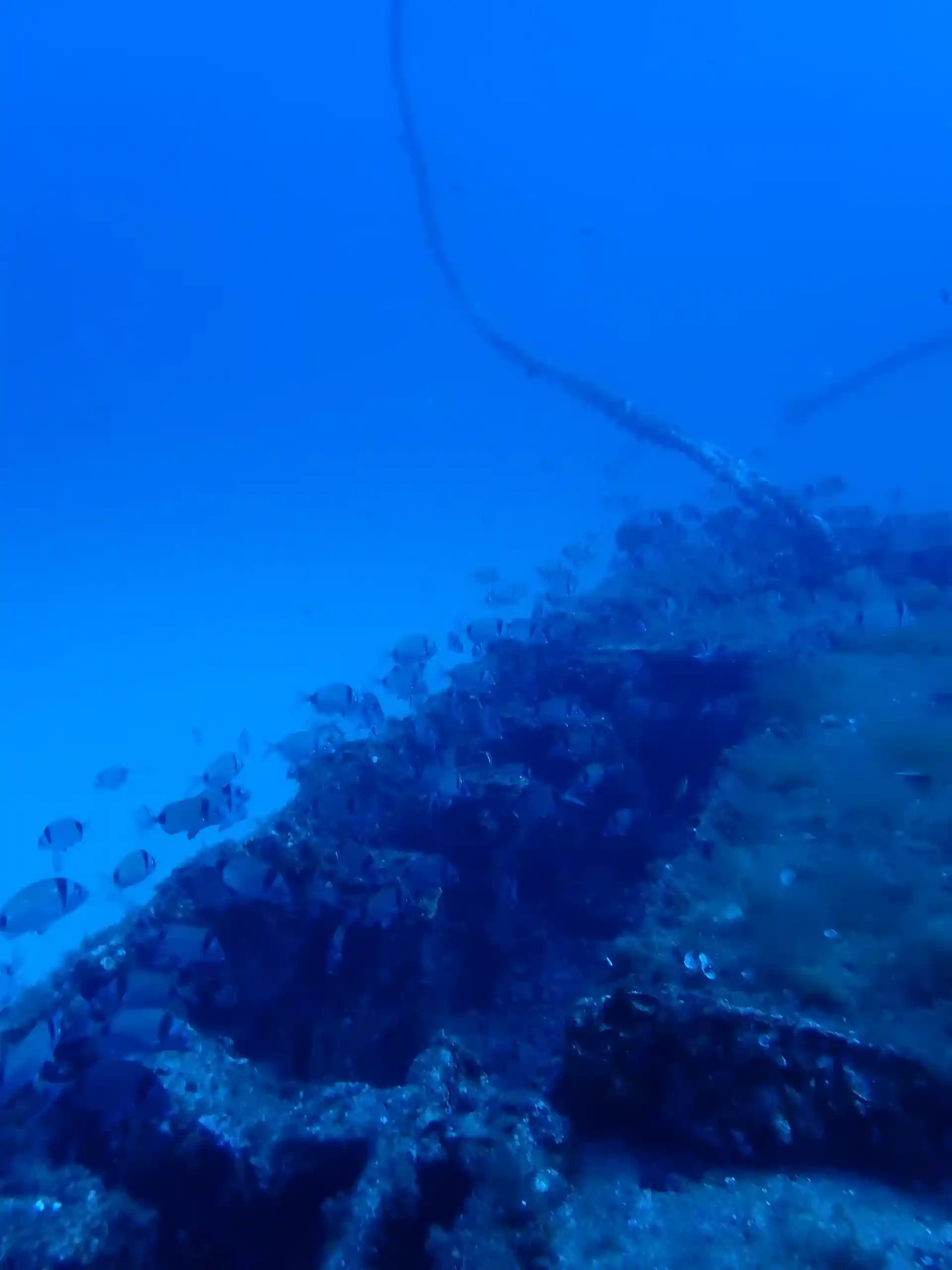 다이빙 포인트 사진