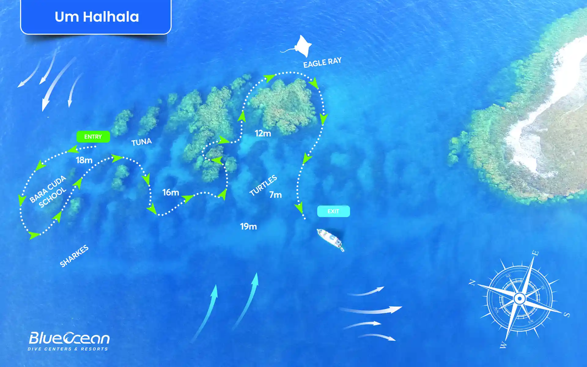 Dive site photo