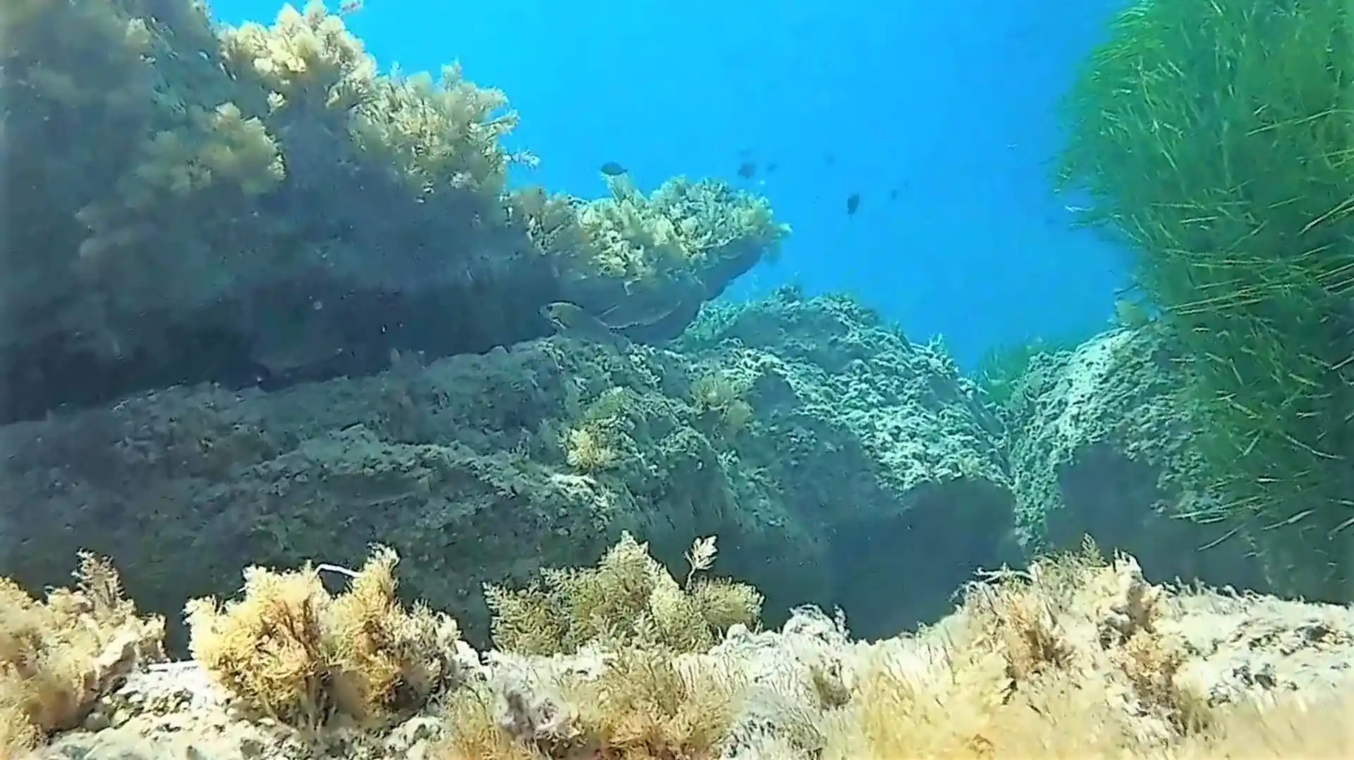Dive site photo