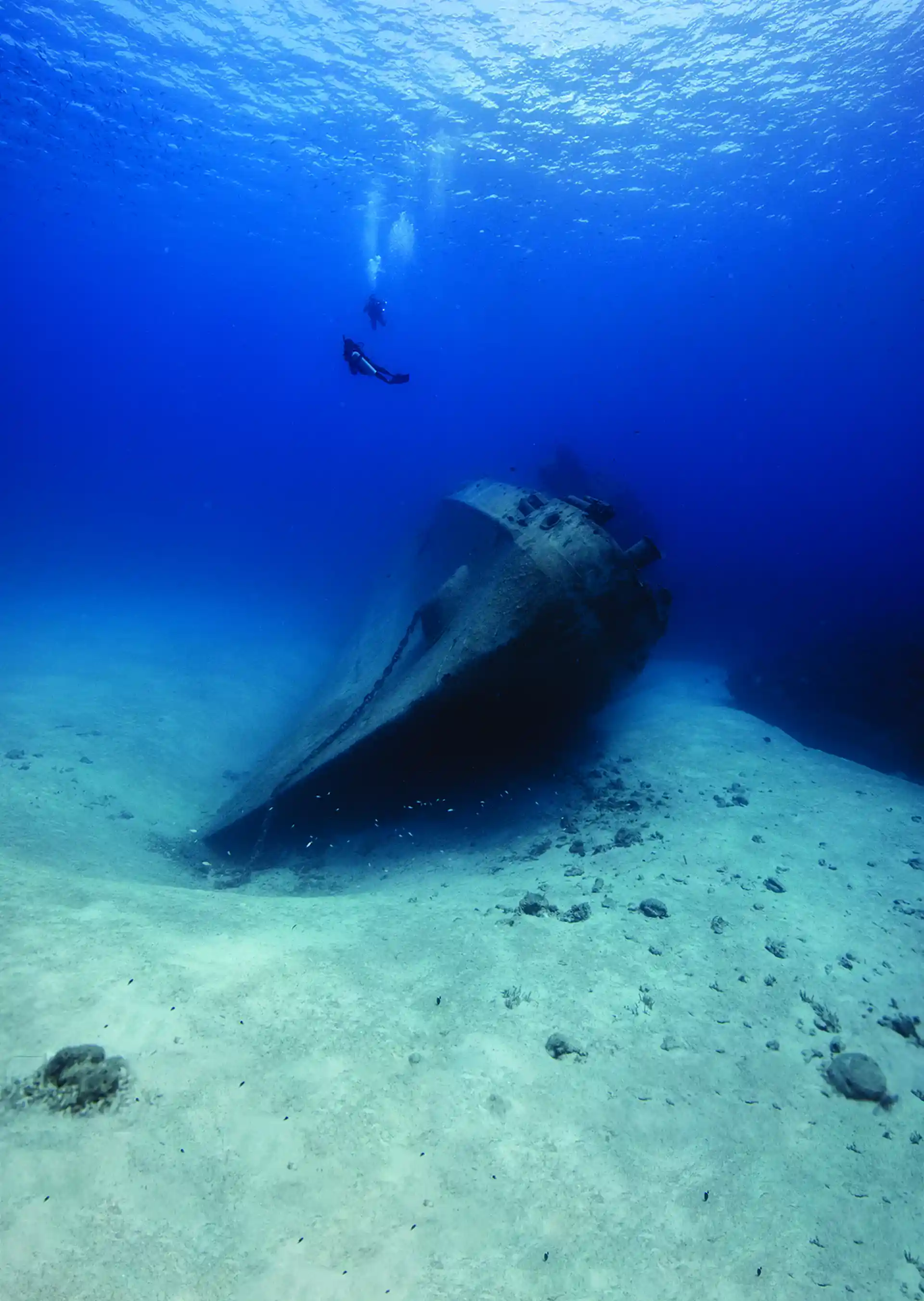 Photo de l'activité