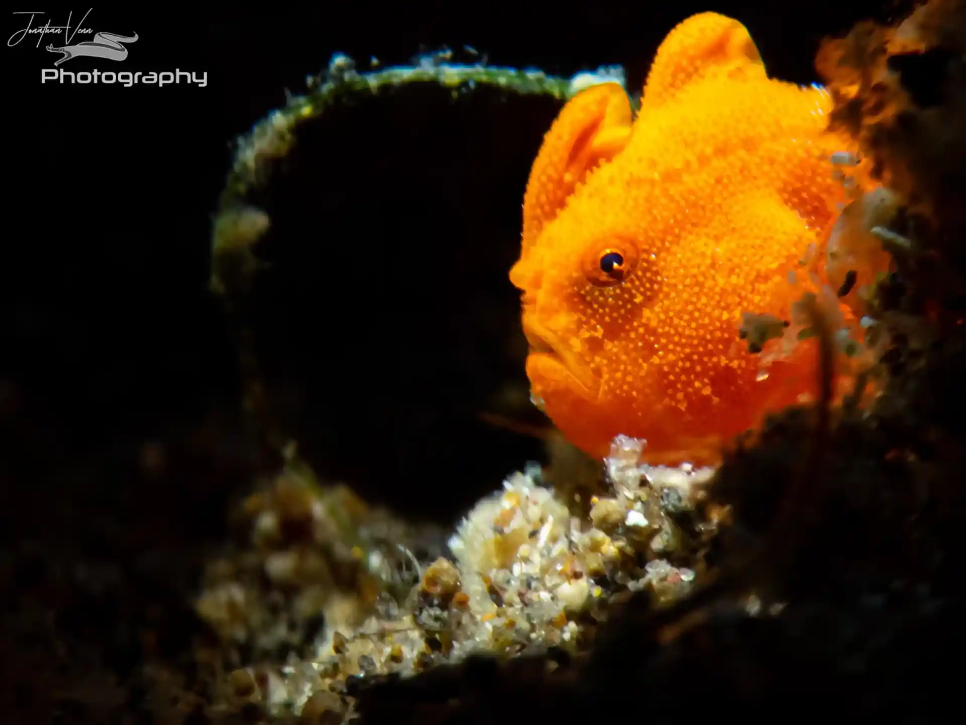 Dive site photo