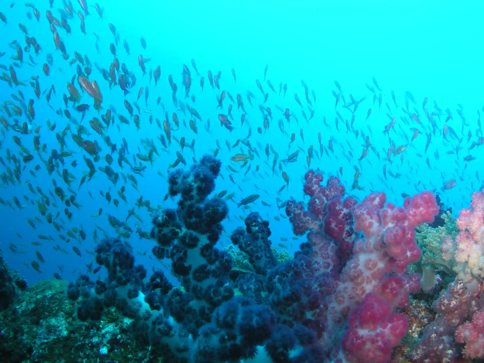 Foto de la actividad