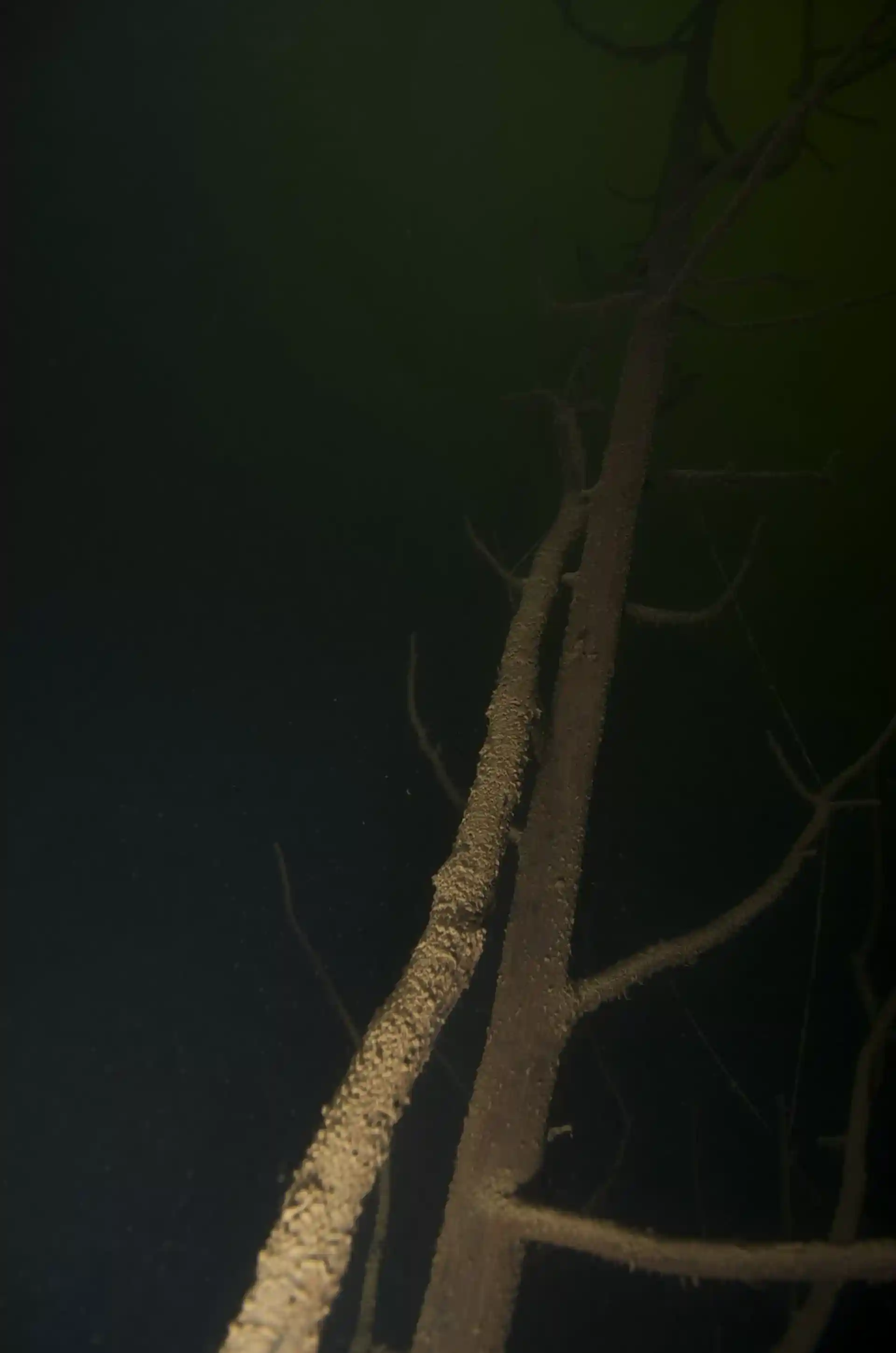 Dive site photo