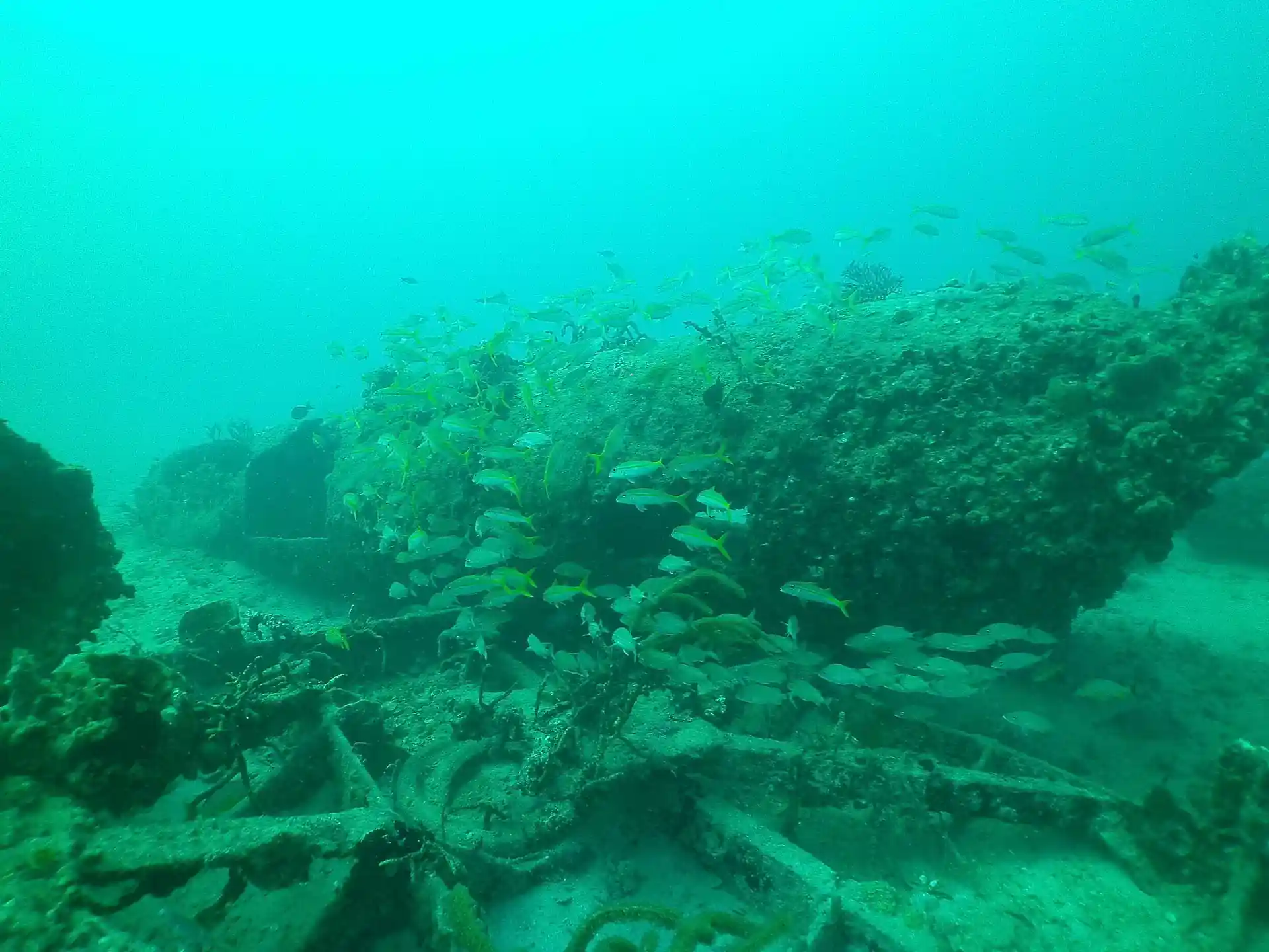 Foto van de duiklocatie