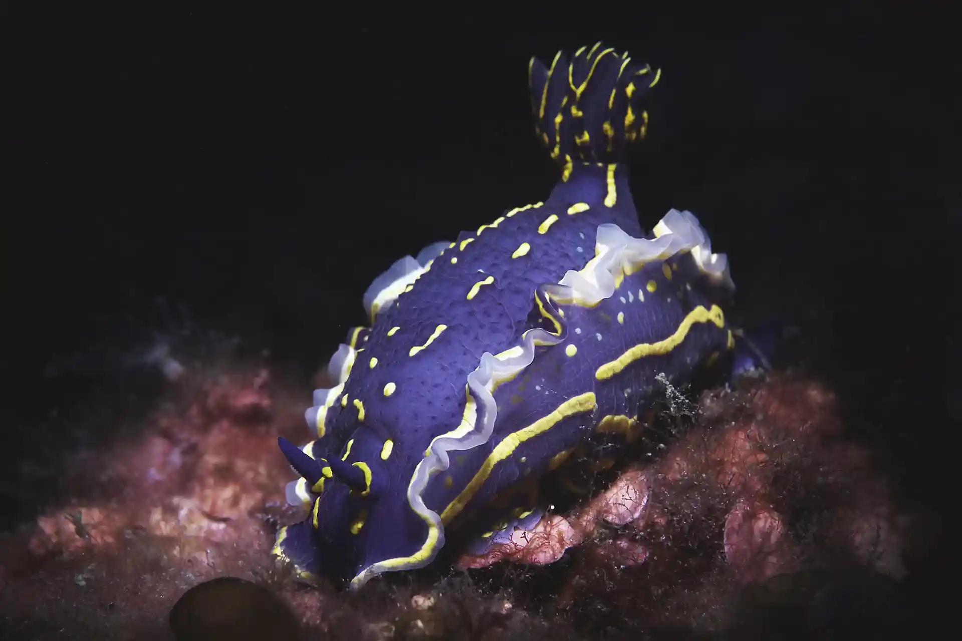 다이빙 포인트 사진