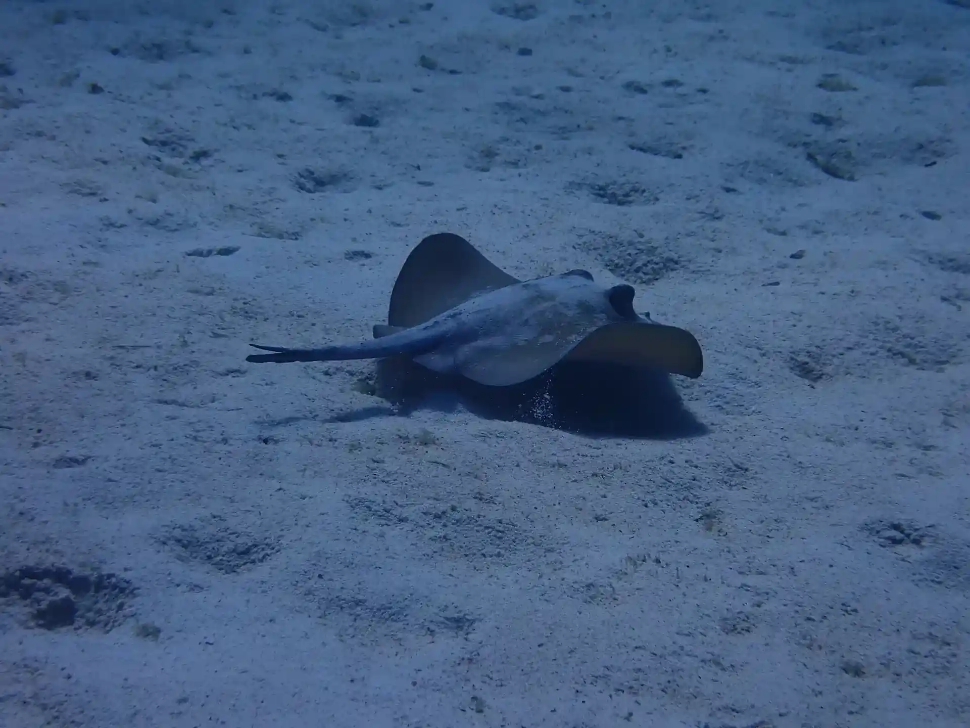 Dive site photo