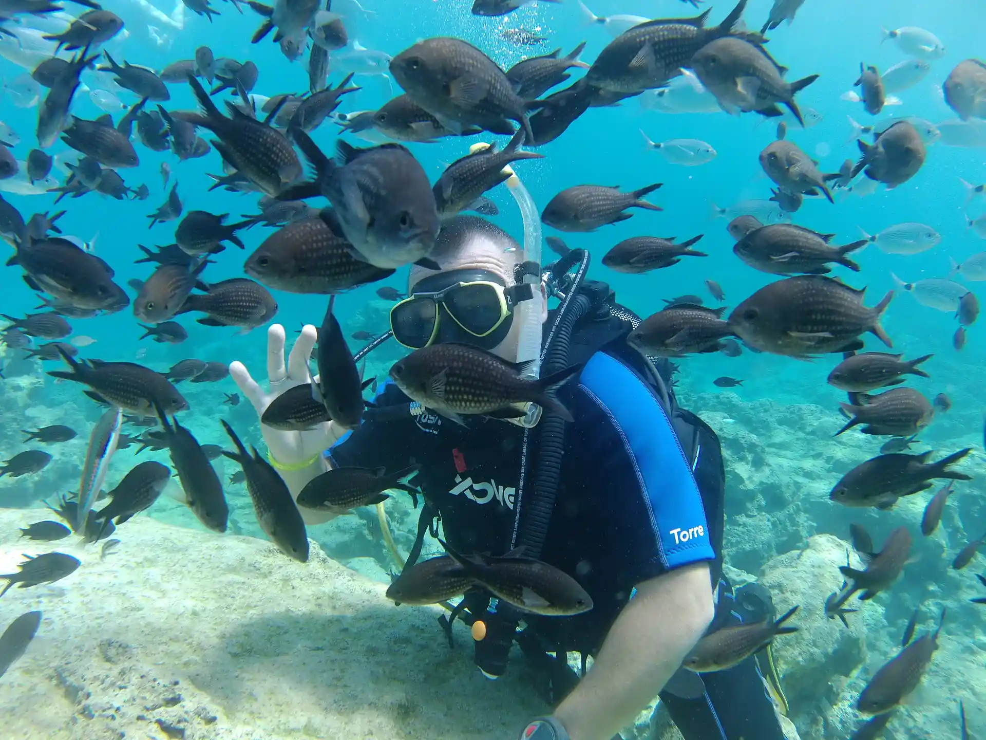 Get up close with Cyprus’ curious marine life on your very first dive — no experience needed!