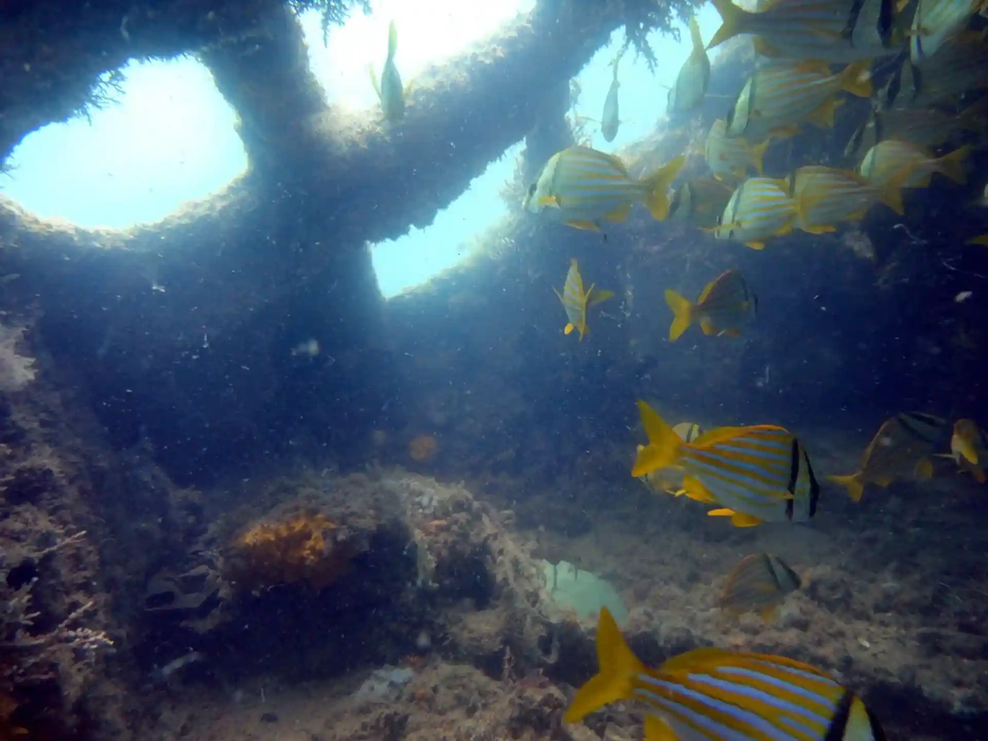 Dive site photo