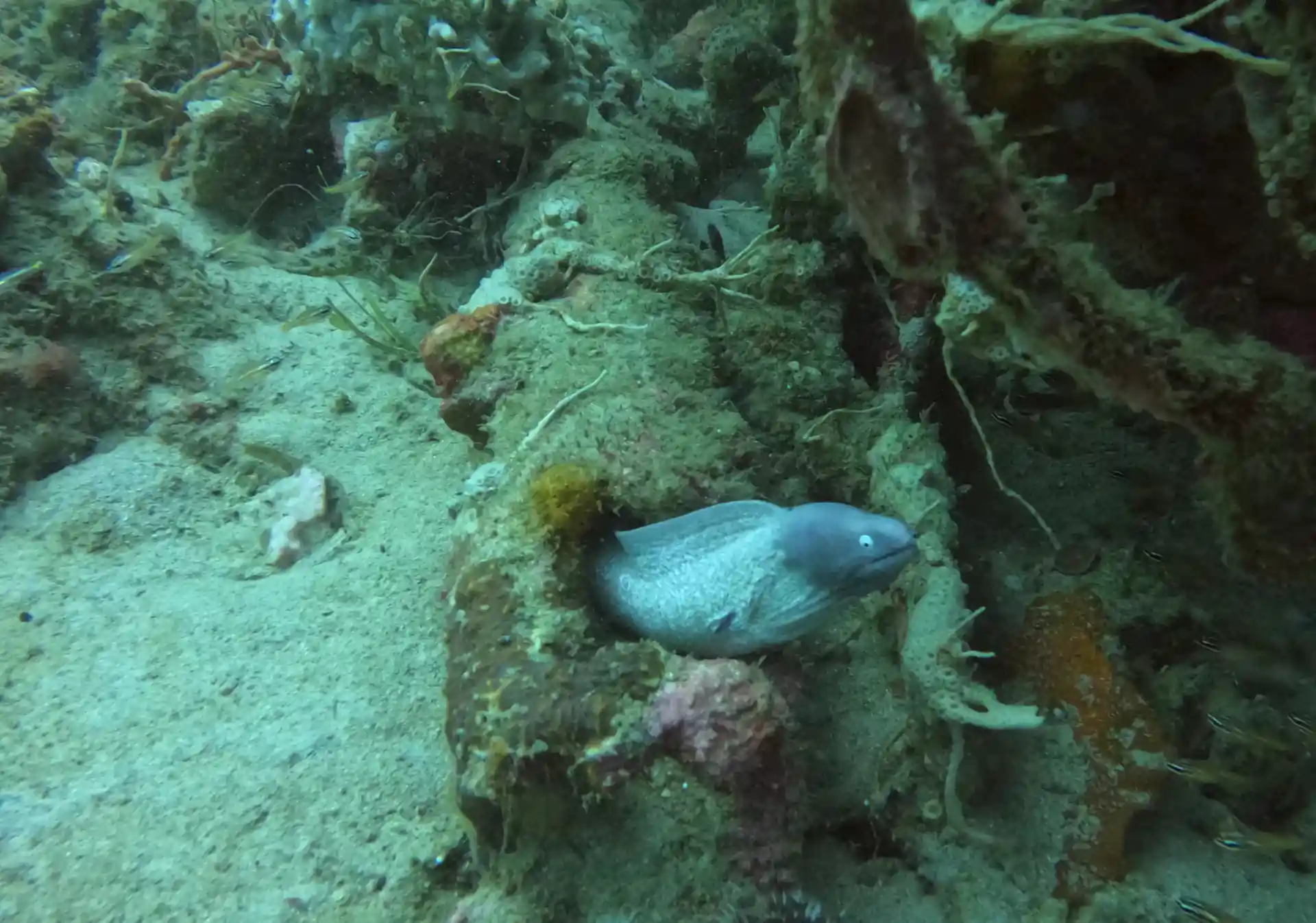 Dive site photo