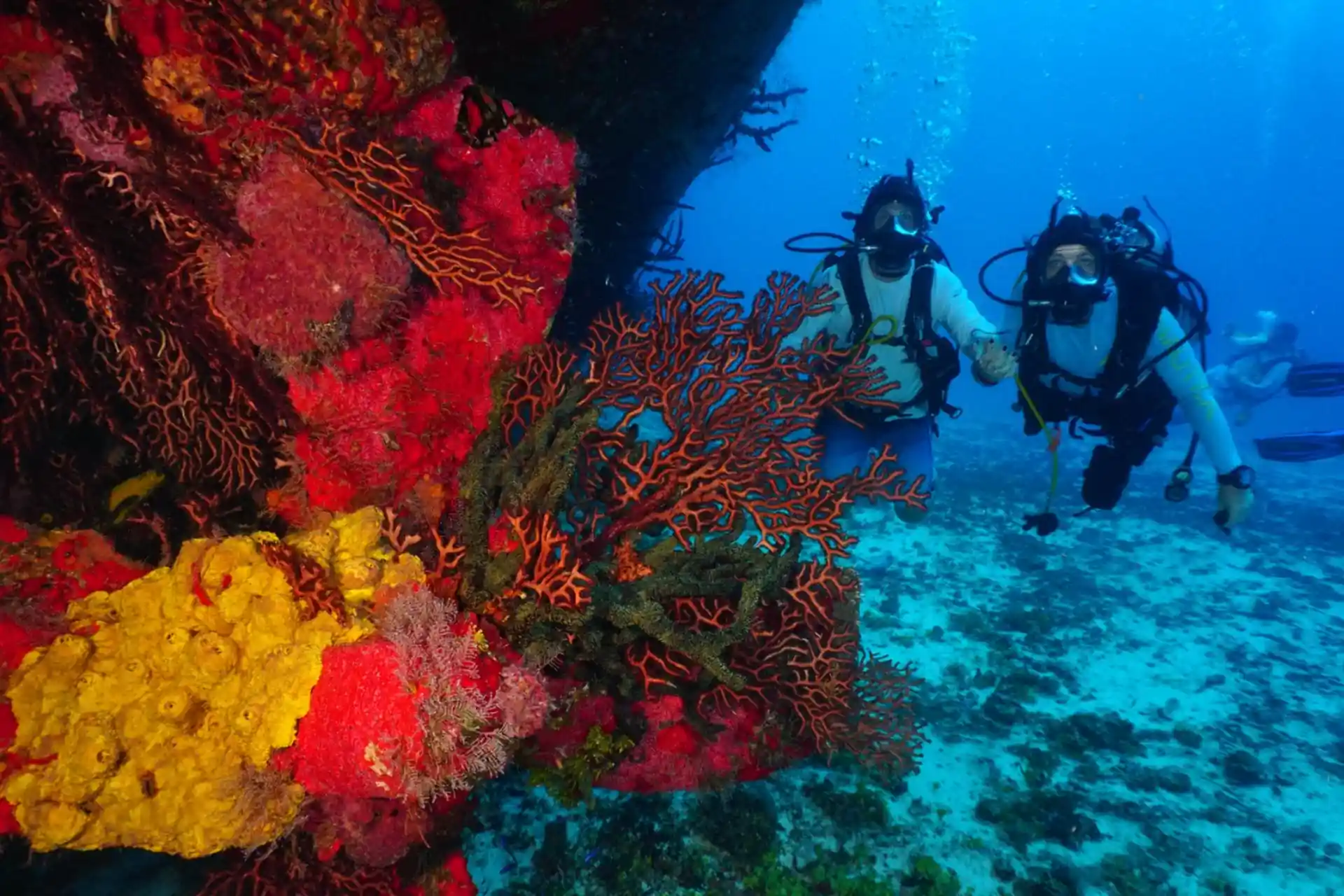 Dive site photo