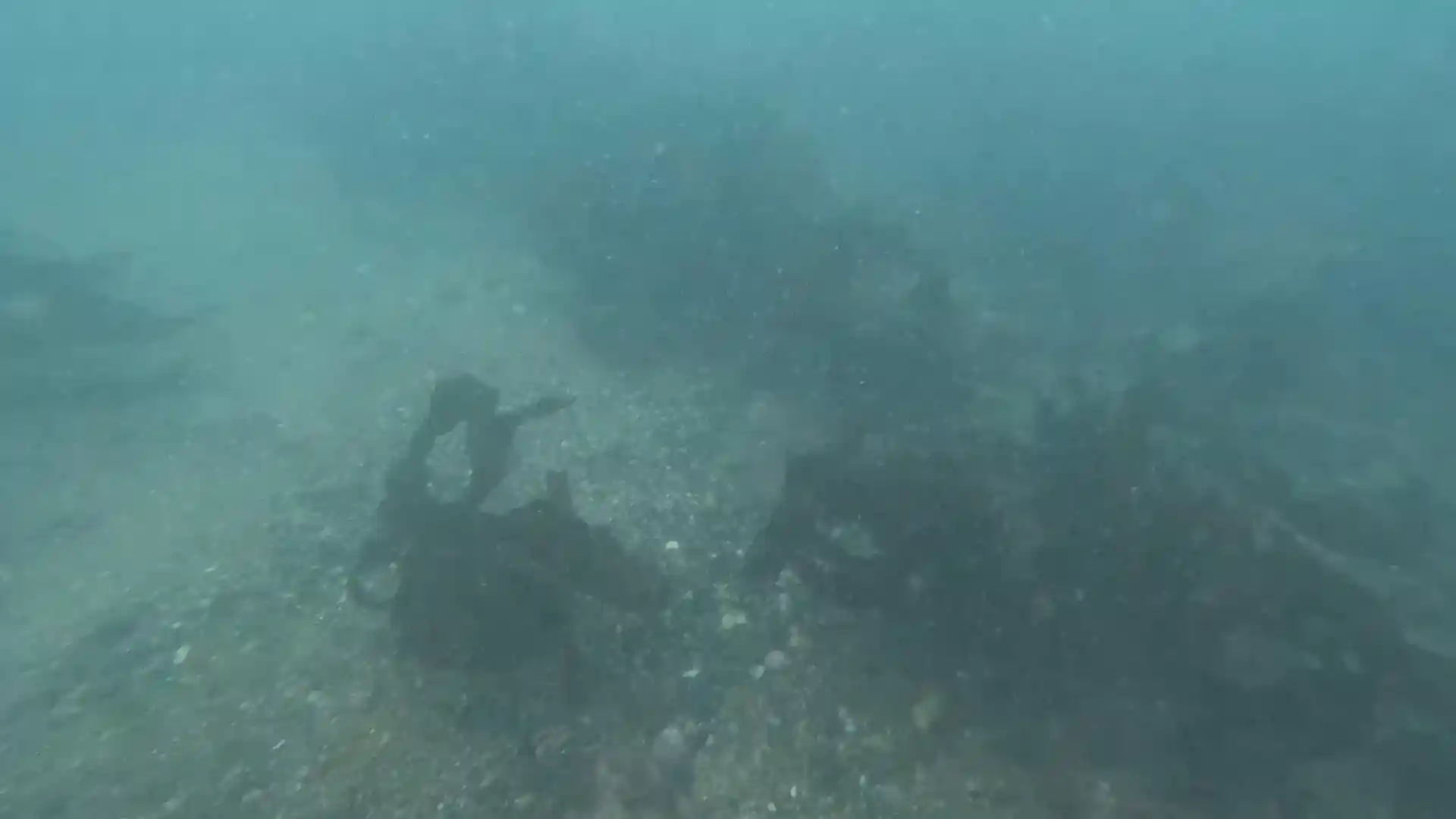Dive site photo