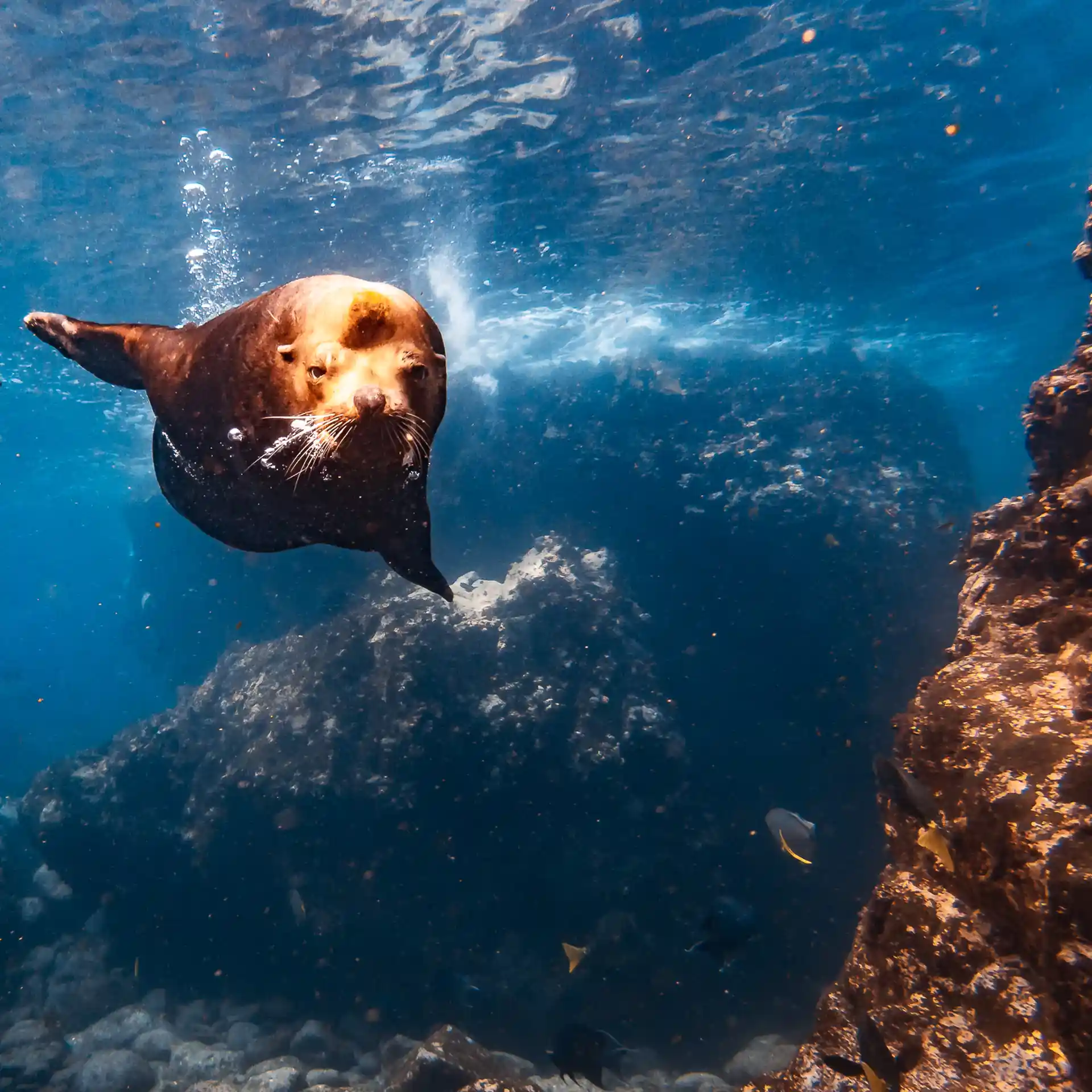 Dive shop photo