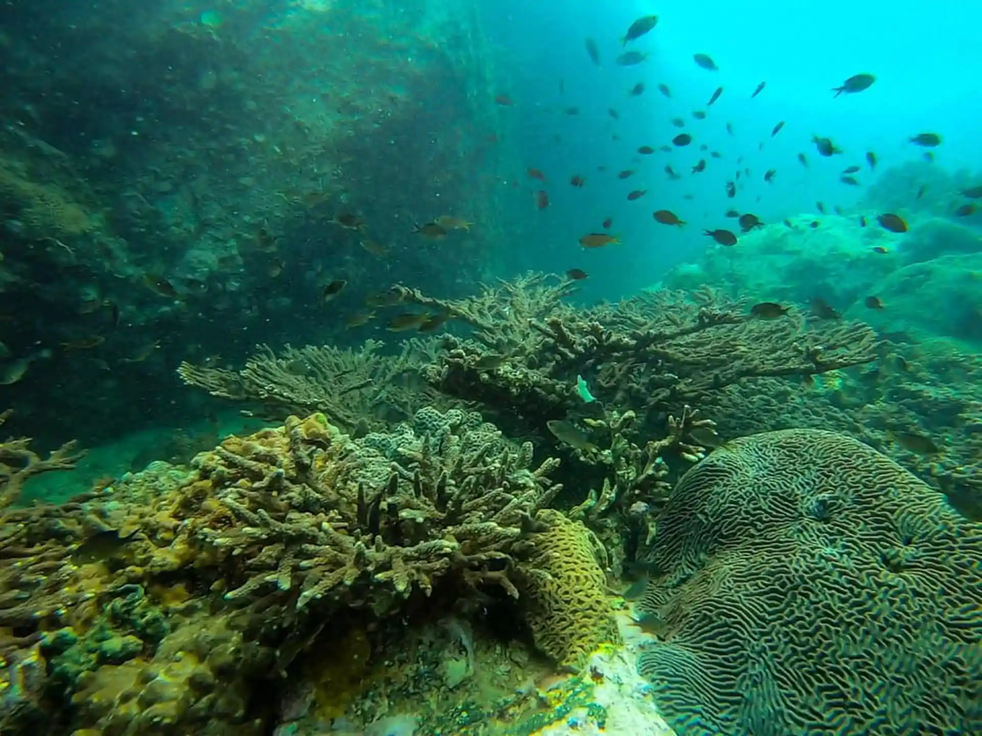 潜水点图片