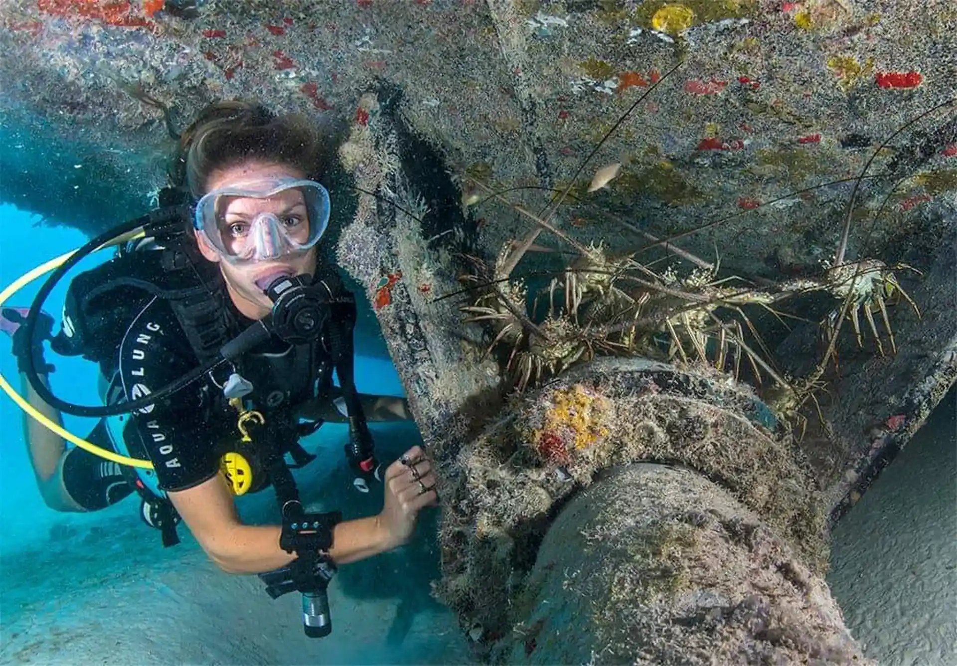 ダイビングサイトの写真