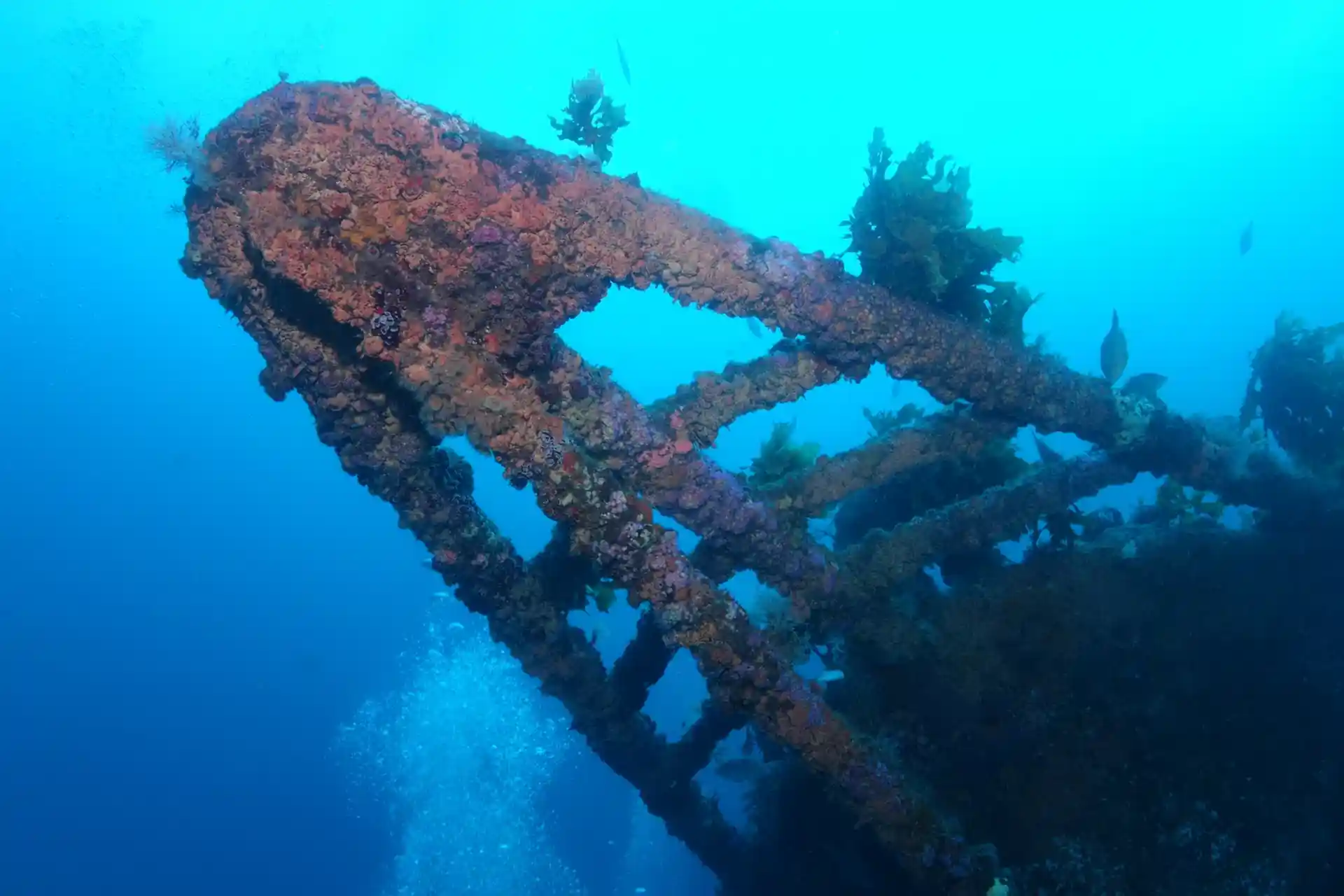 Dive site photo
