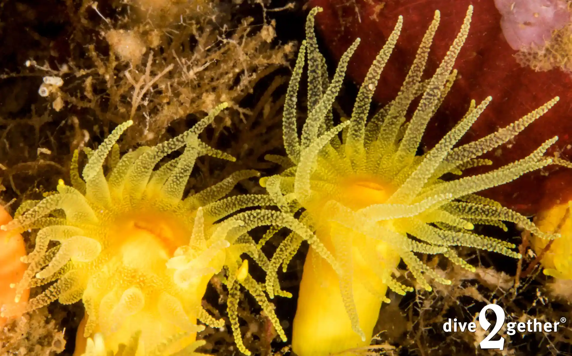 Photo de l'activité