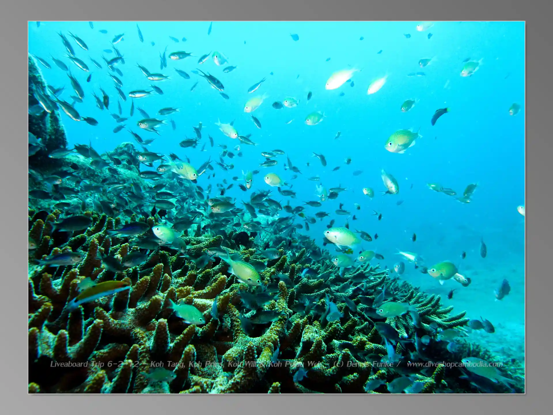 Foto del sitio de buceo