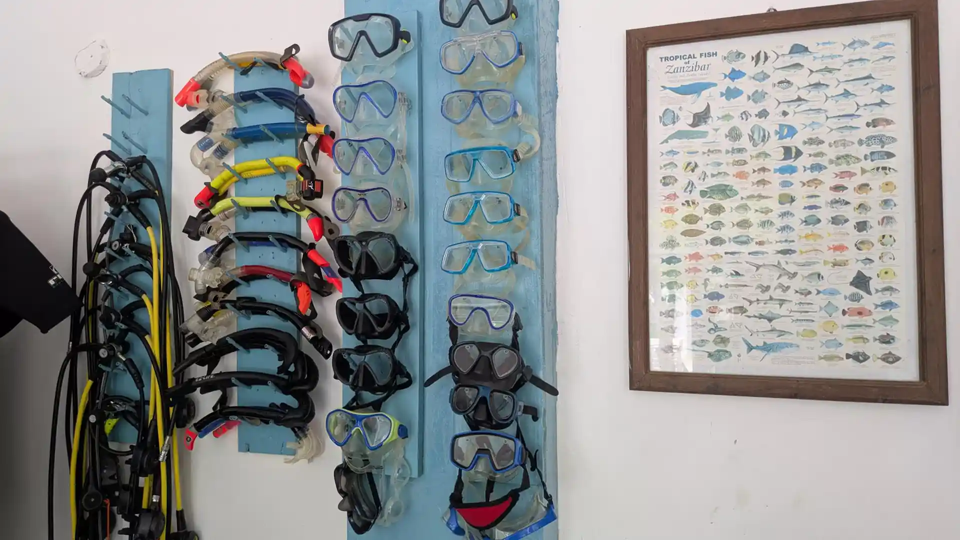 Dive shop photo