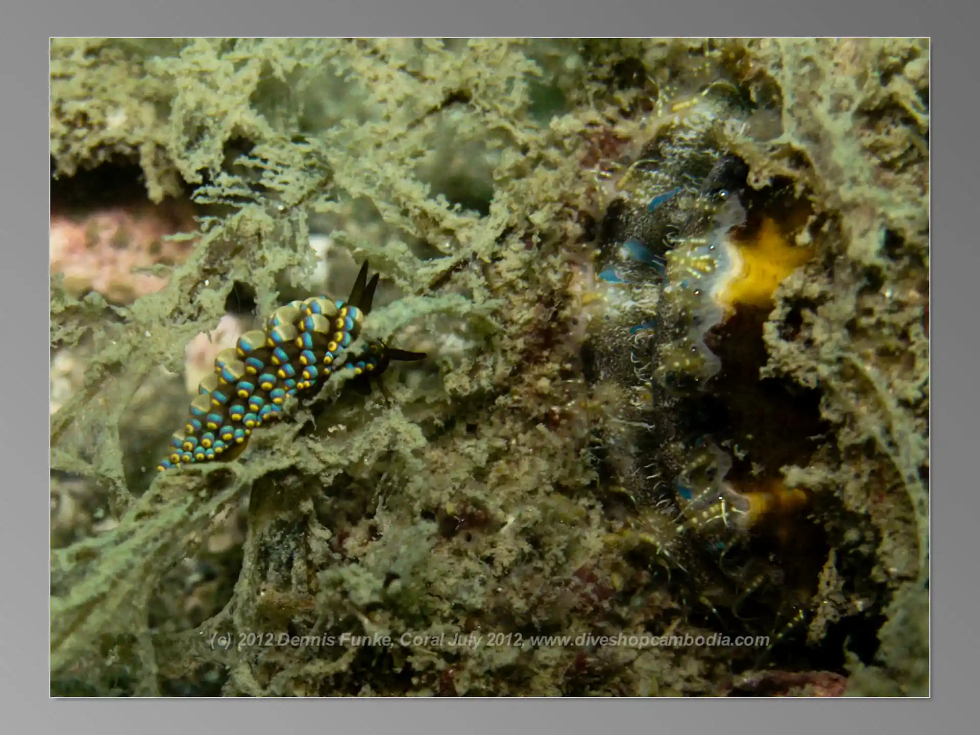 다이빙 포인트 사진