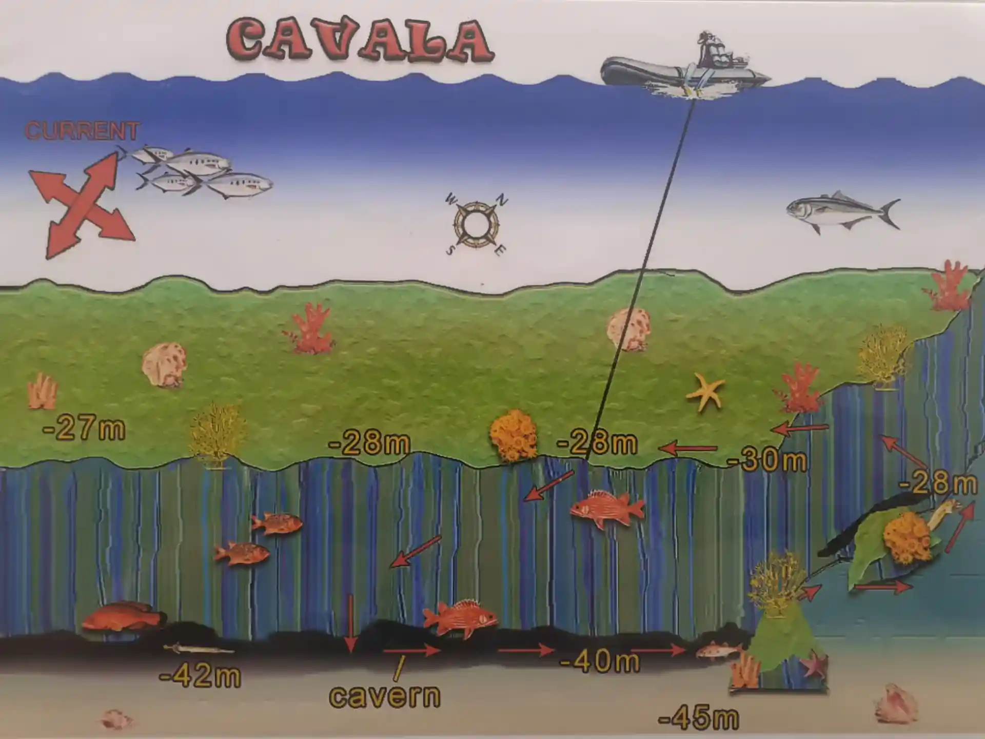 다이빙 포인트 사진