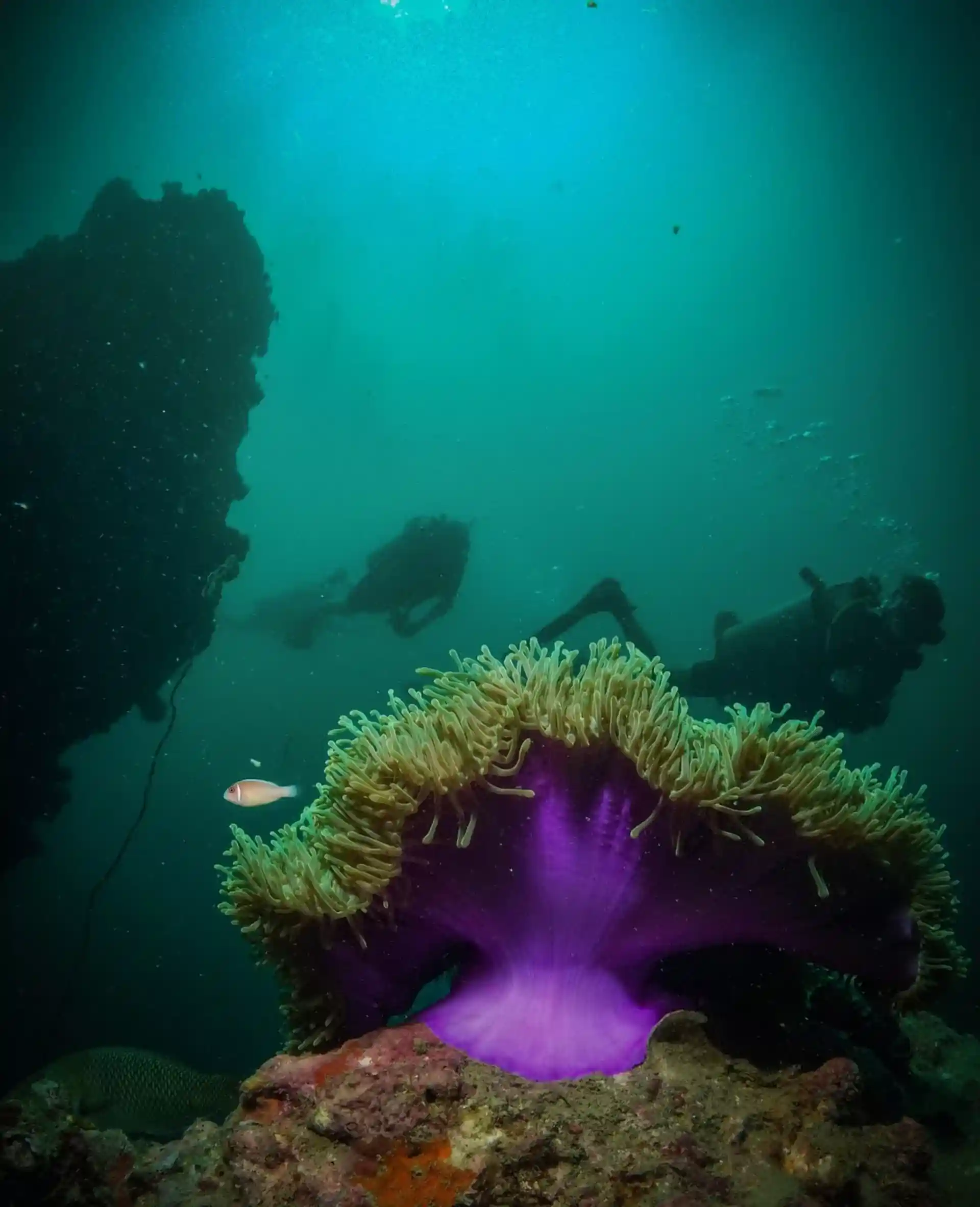 Photo du site de plongée