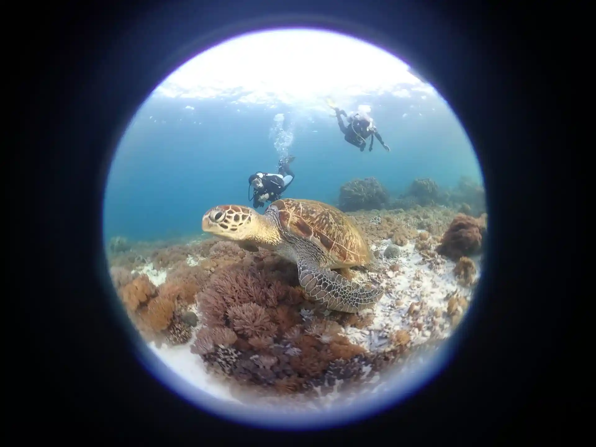 Photo du site de plongée