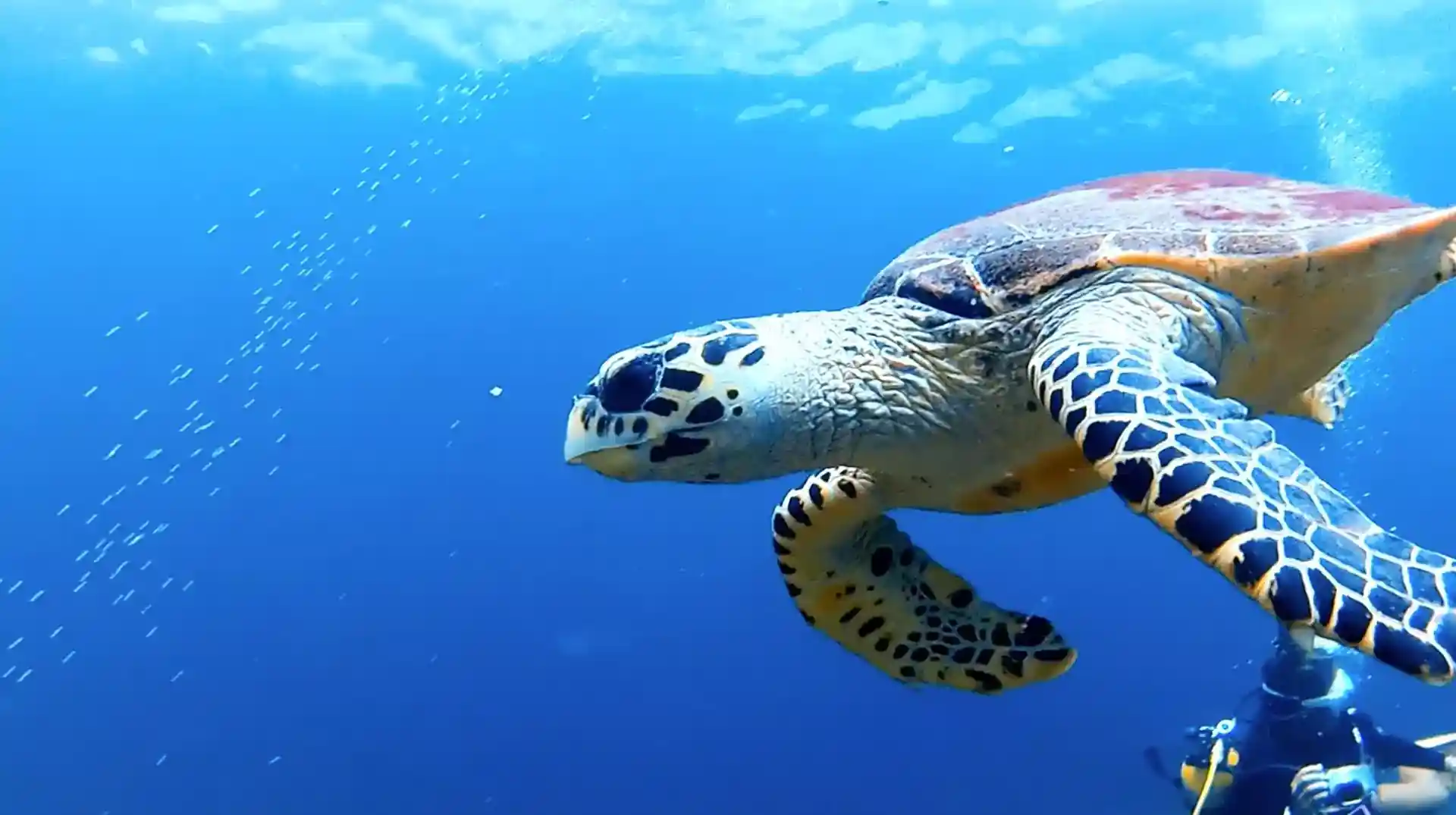 Foto de la actividad