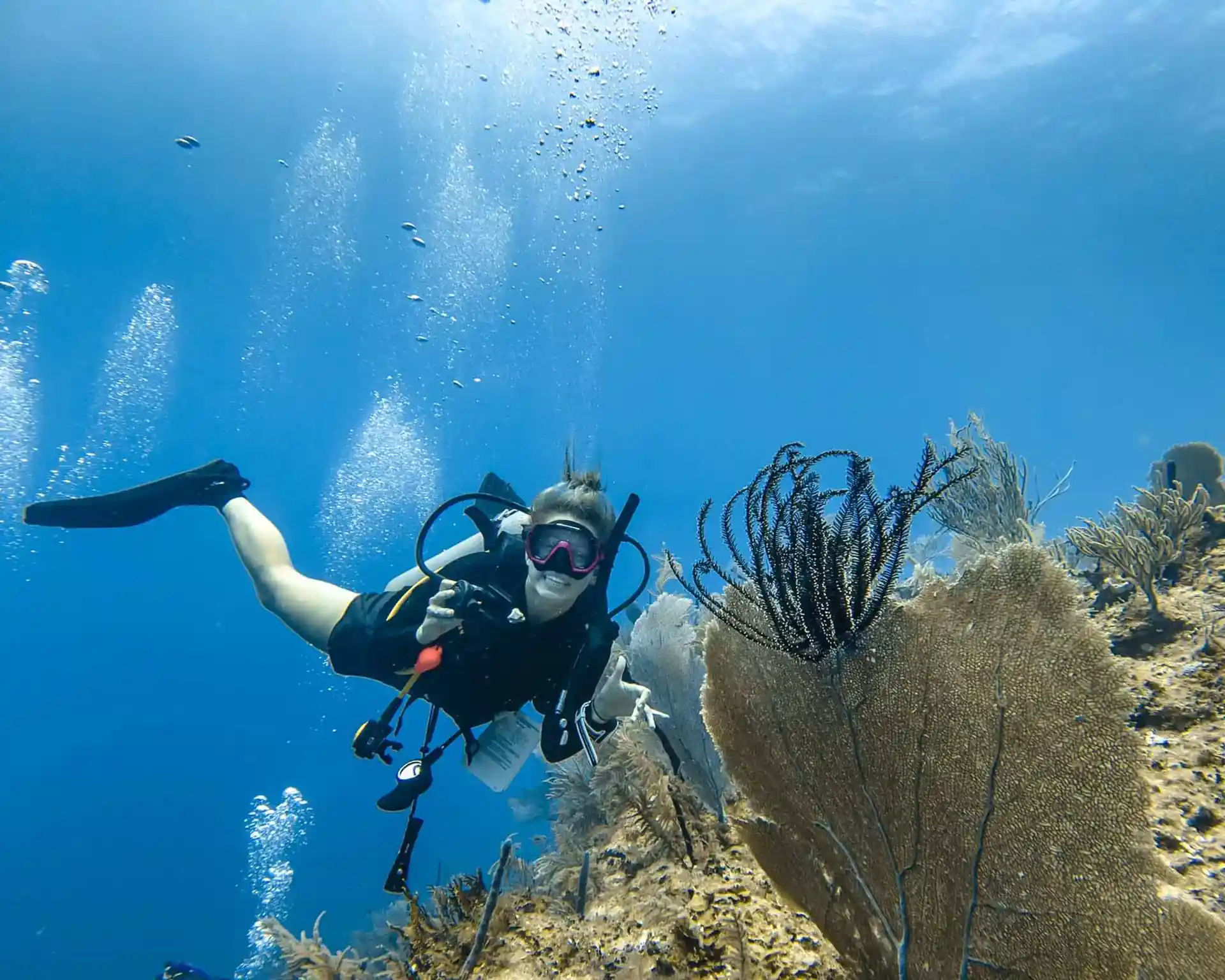Dive site photo