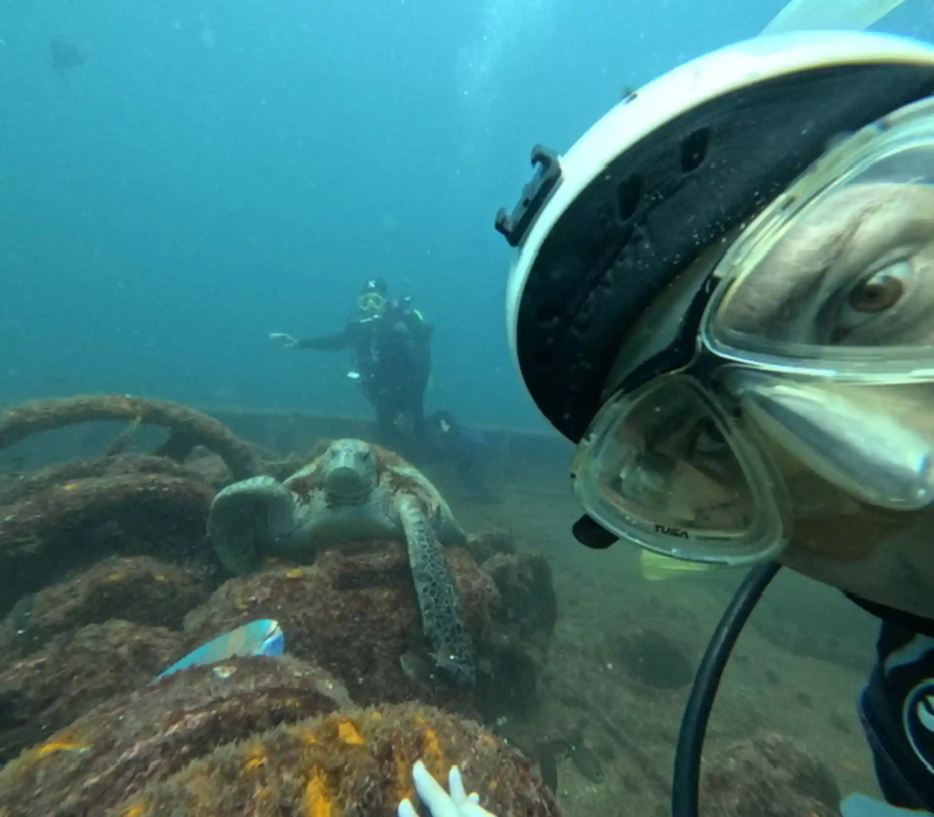 Fang Ming wreck dive.