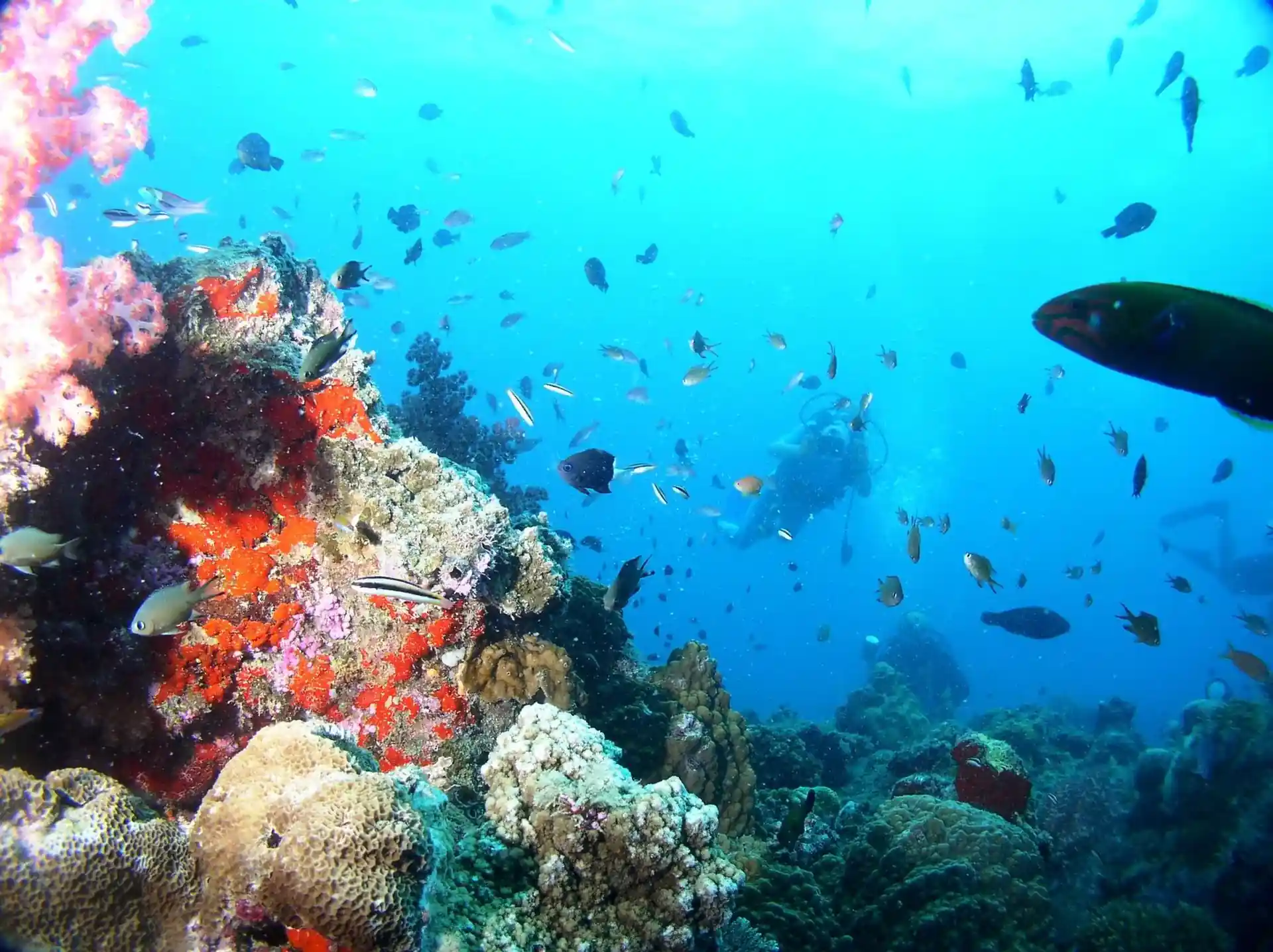 Dive site photo