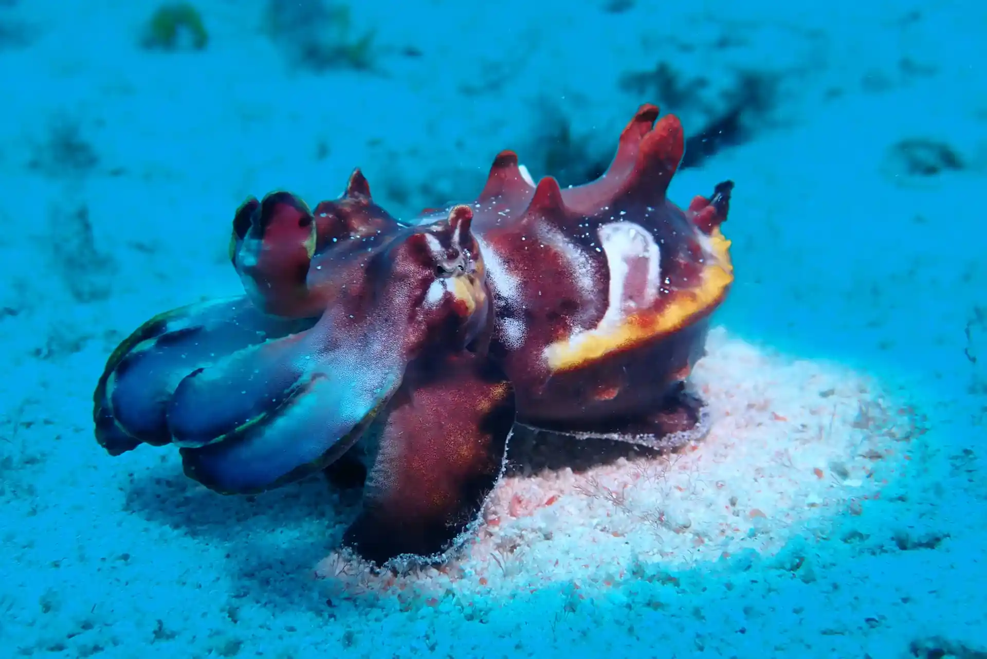 Dive site photo