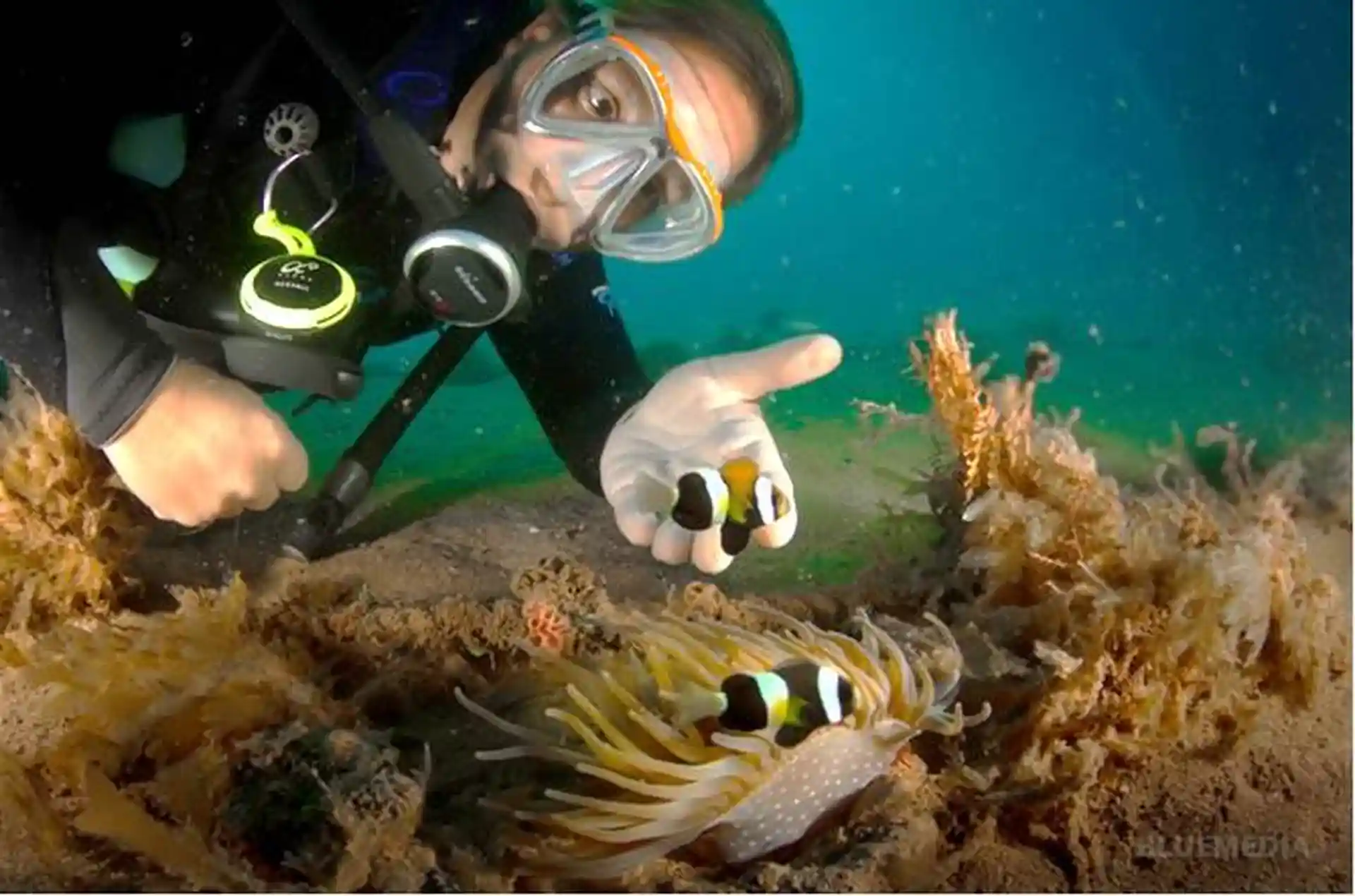 Dive shop photo