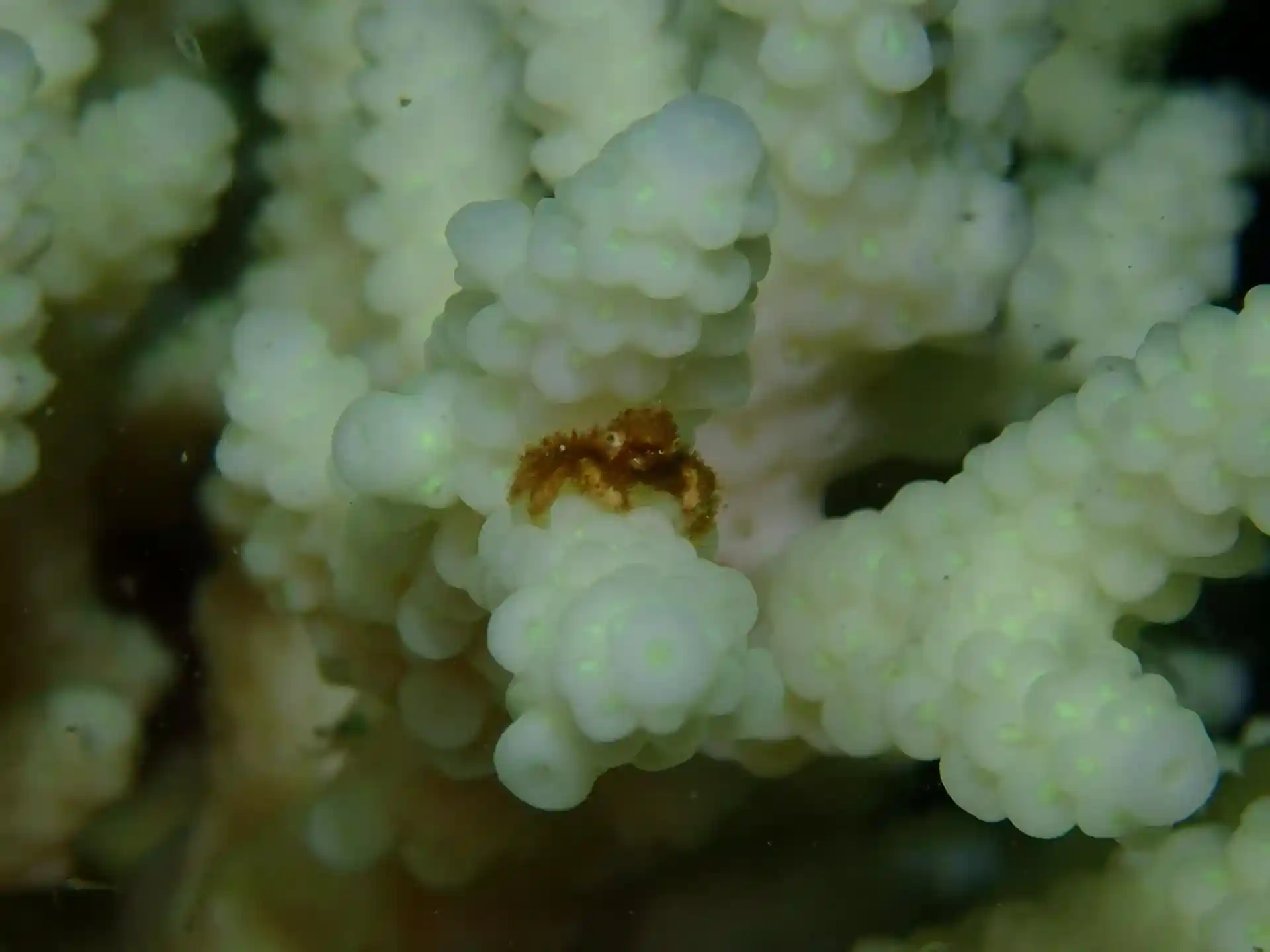 Dive site photo