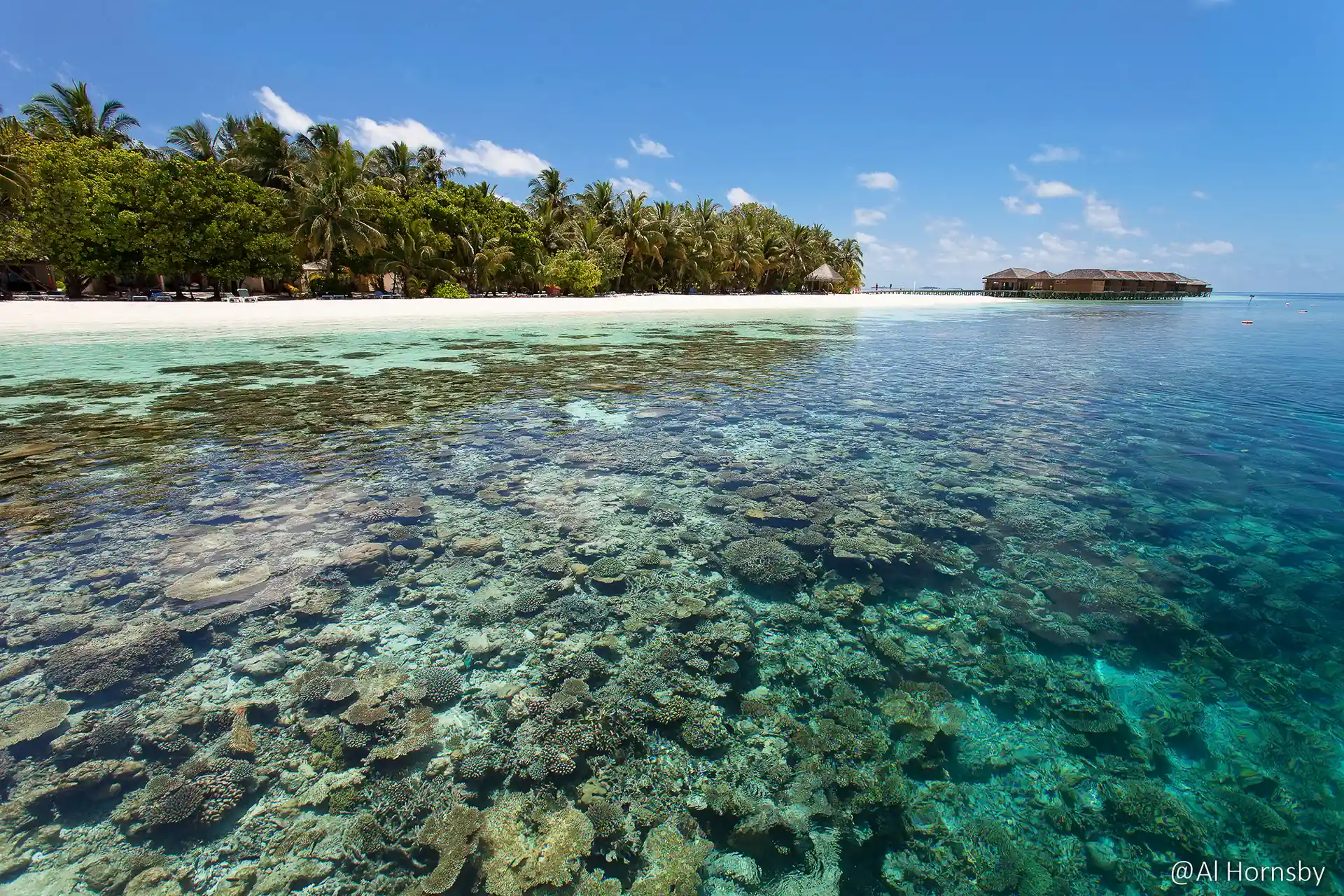 Foto de la tienda de buceo
