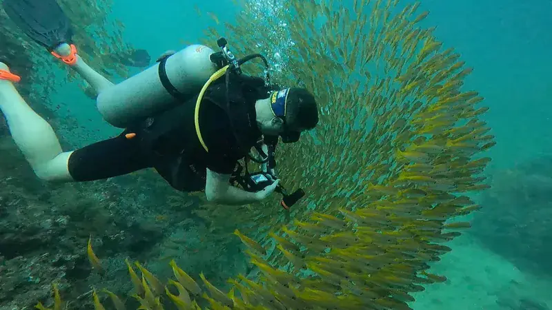 Dive operator picture