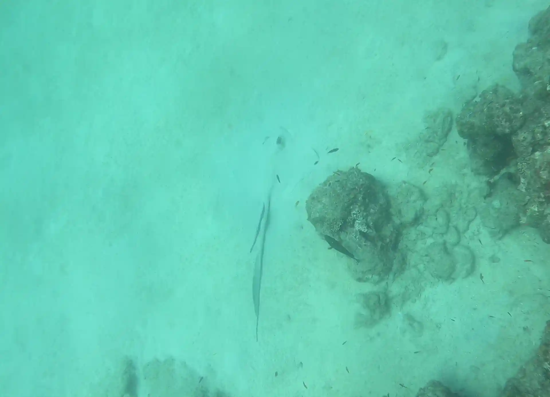 Dive site photo