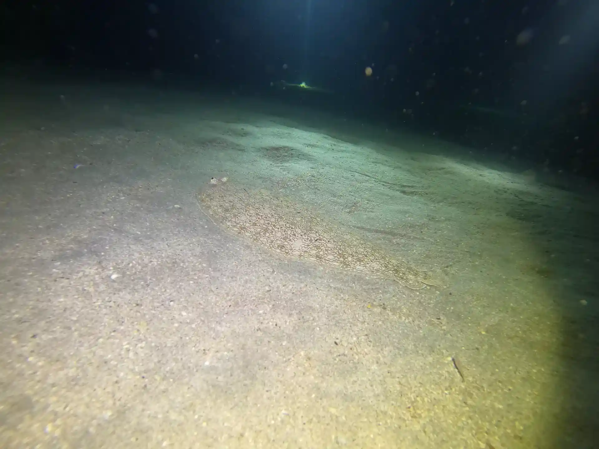 Foto des Tauchplatzes