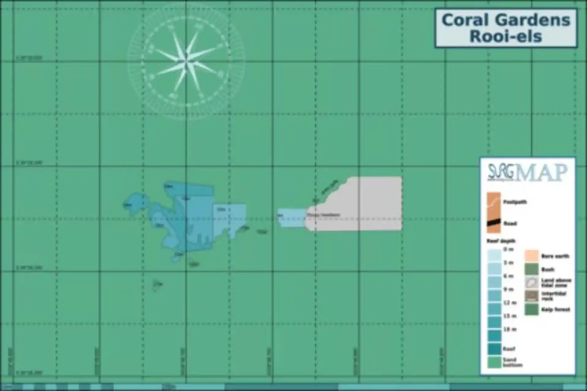 ダイビングサイトの写真