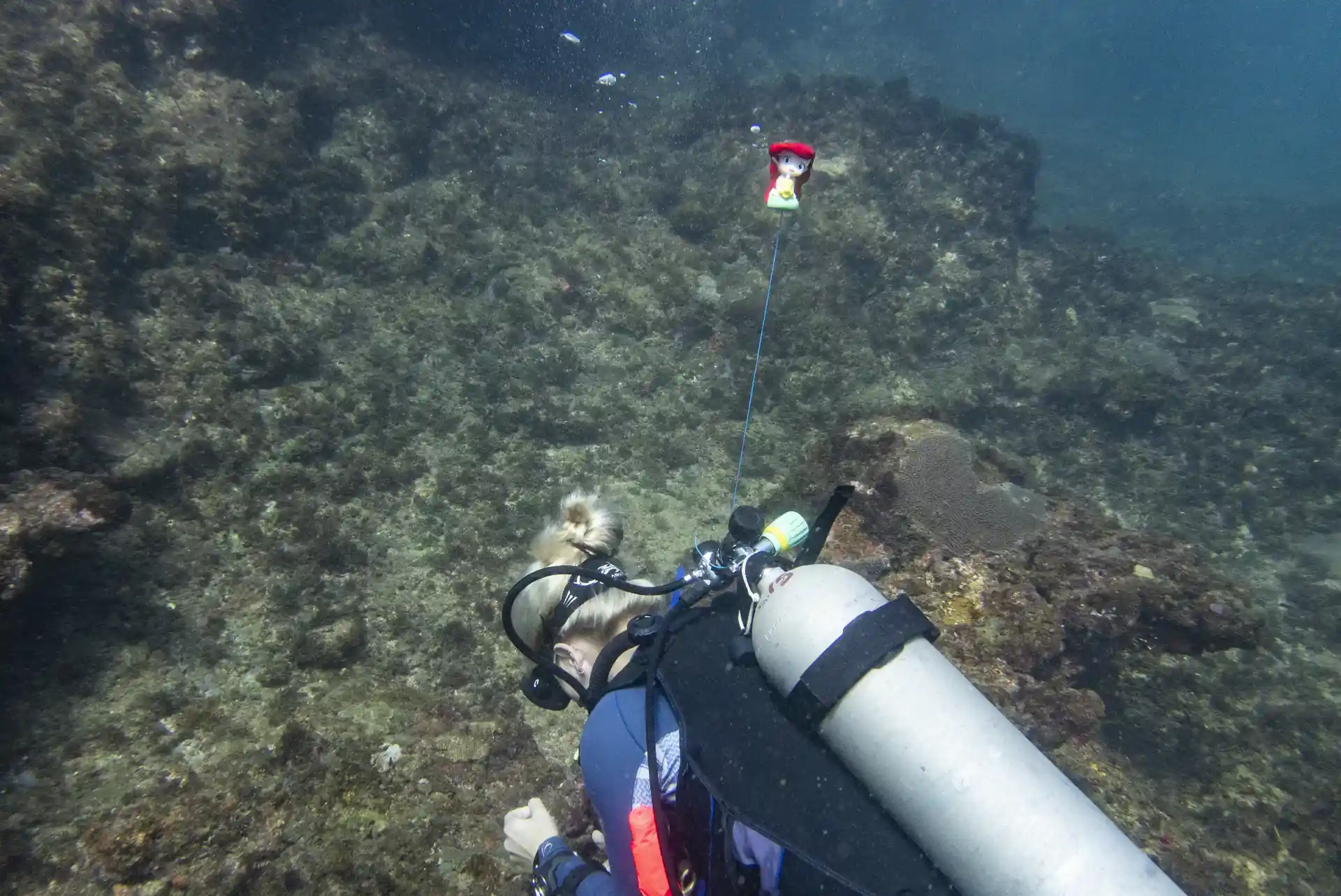 Foto de la actividad