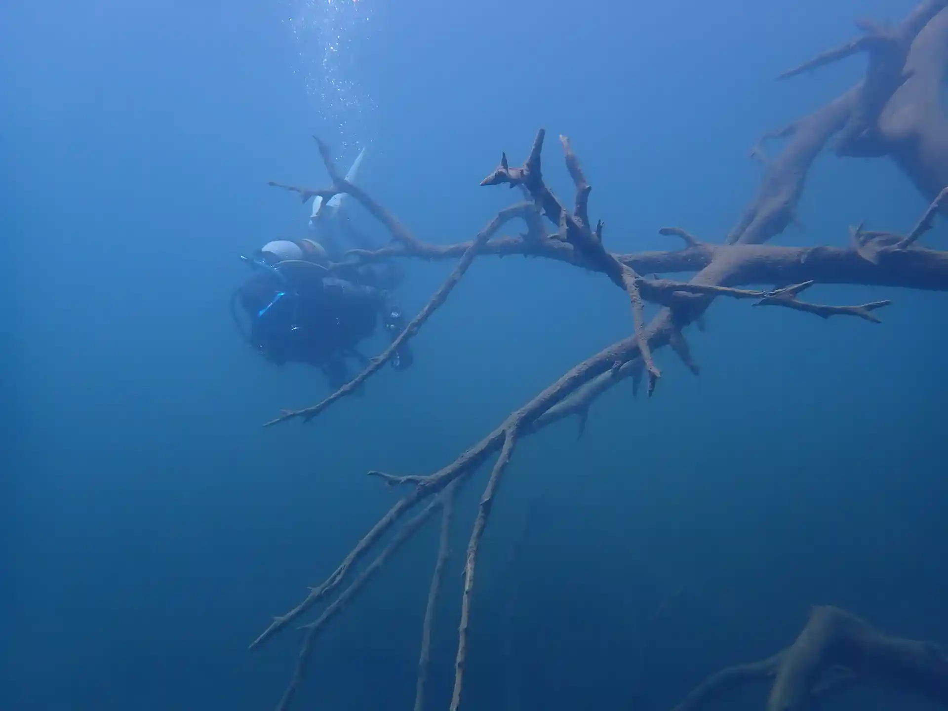 Dive shop photo